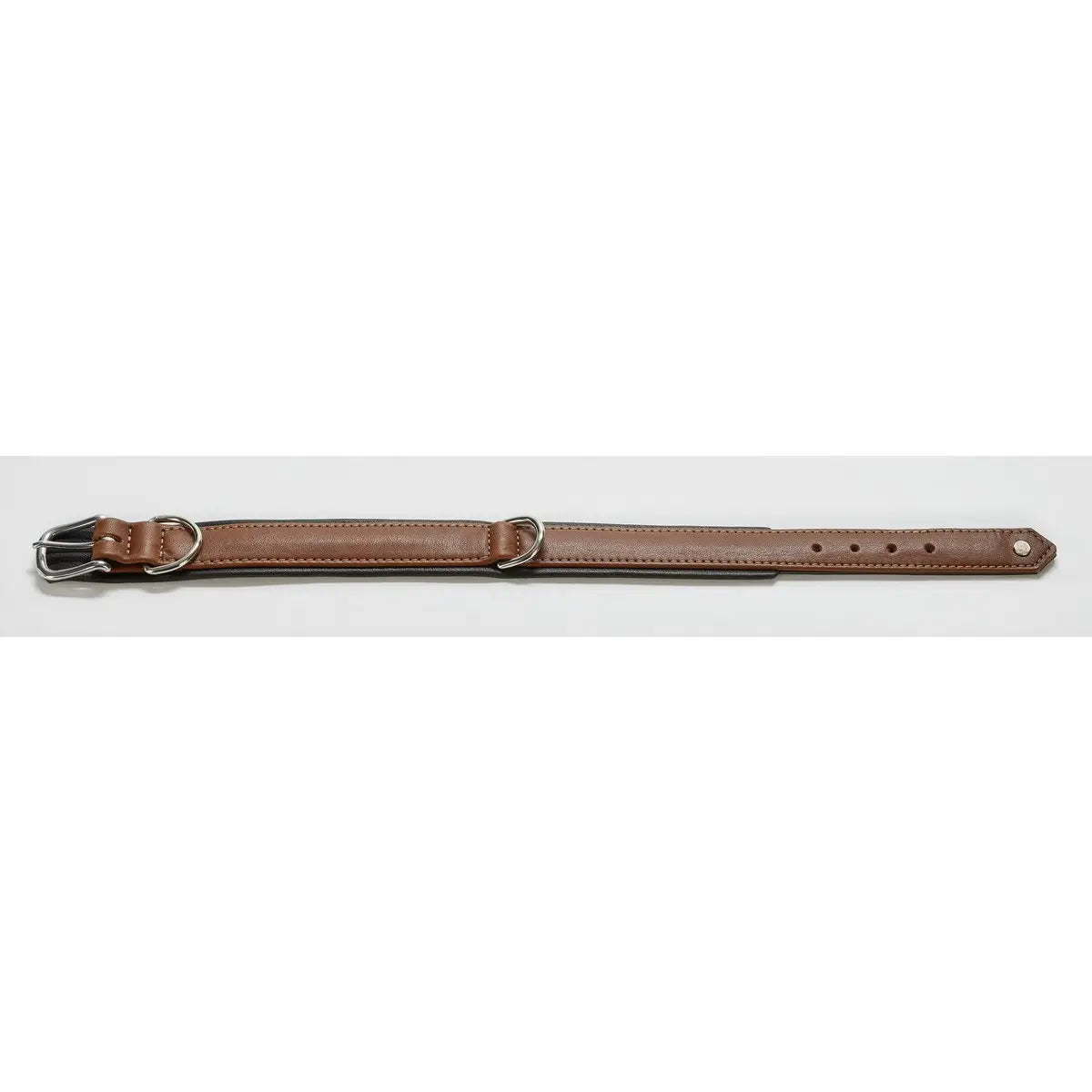 AMICI Cognac - Stilvolles Nappa-Halsband für modebewusste Hundefreunde