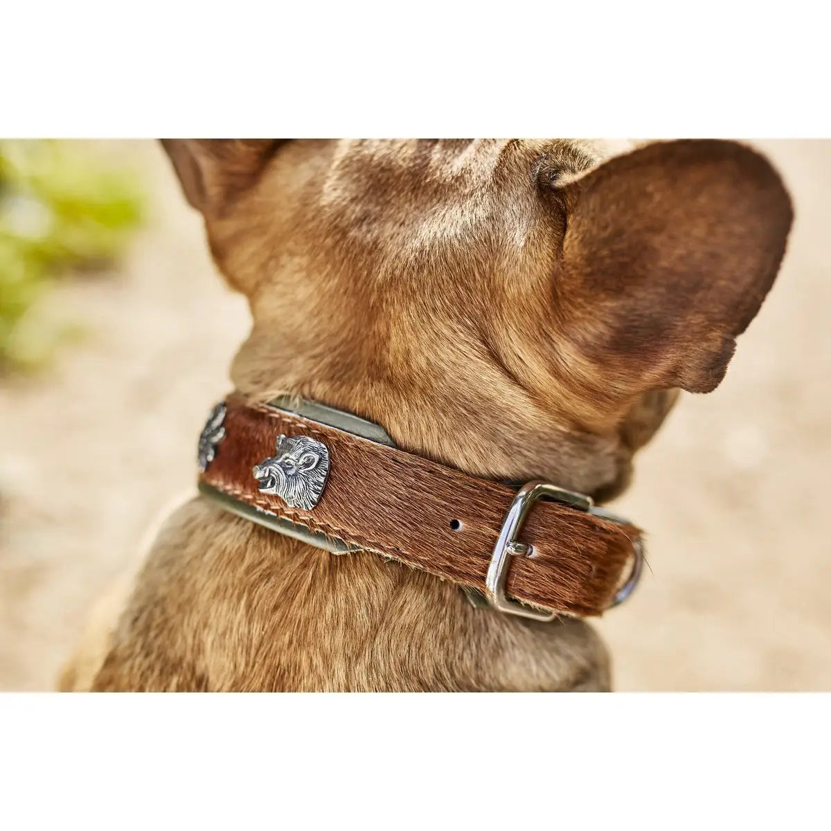 BAVARIA - Exklusives Hundehalsband im aufregenden Material-Mix