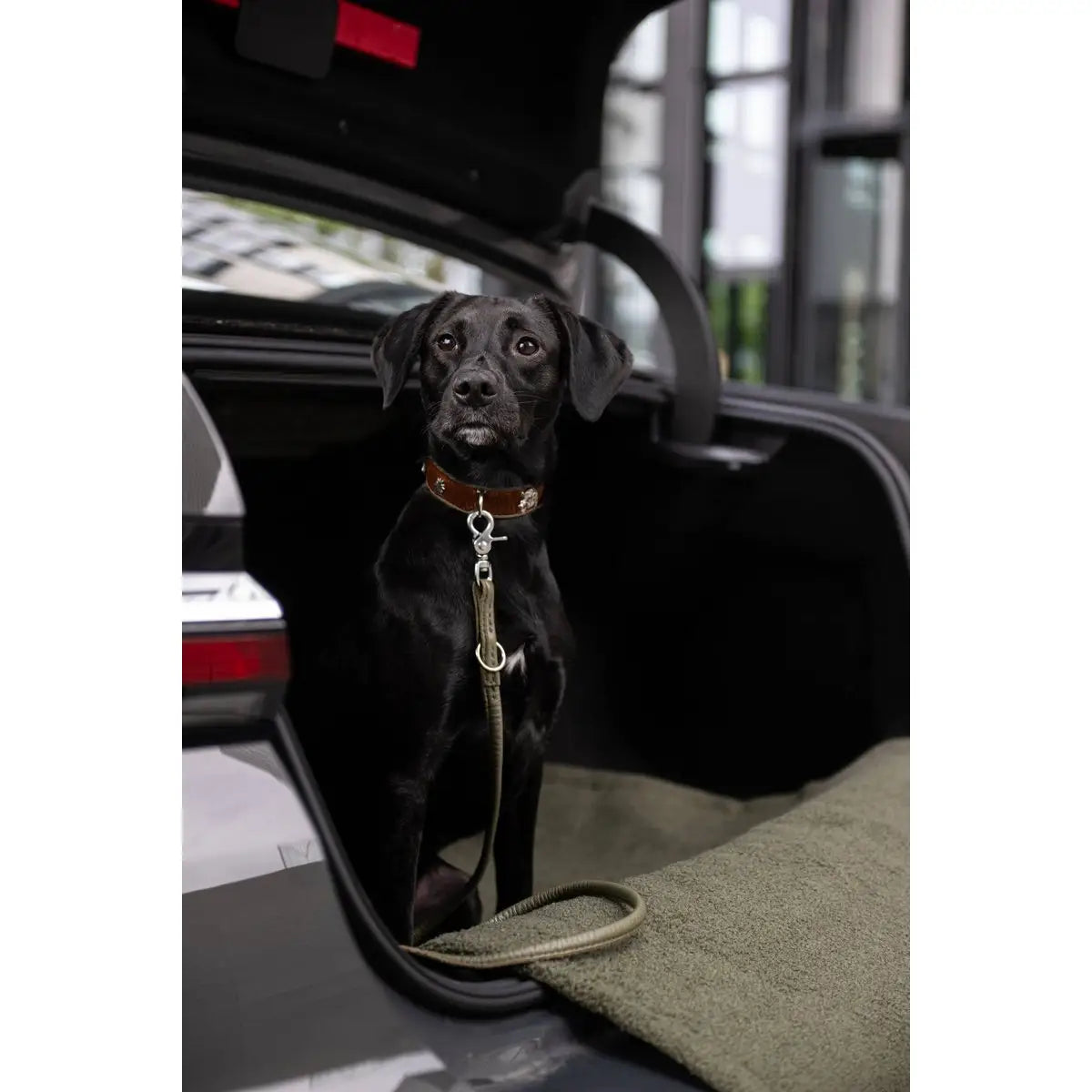 BAVARIA - Exklusives Hundehalsband im aufregenden Material-Mix