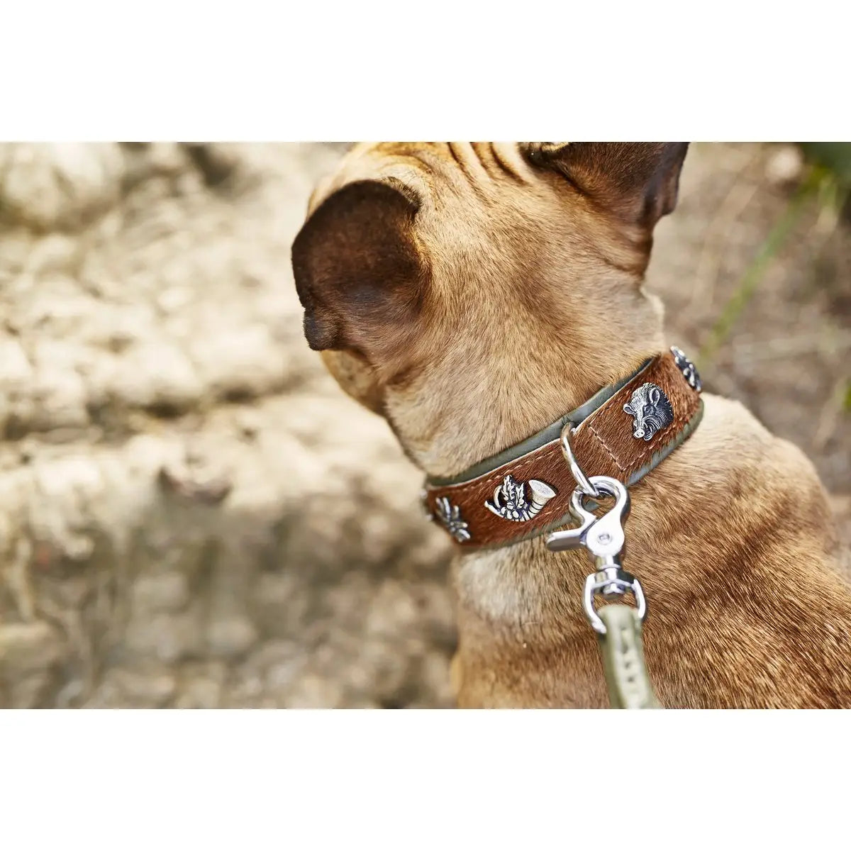 BAVARIA - Exklusives Hundehalsband im aufregenden Material-Mix