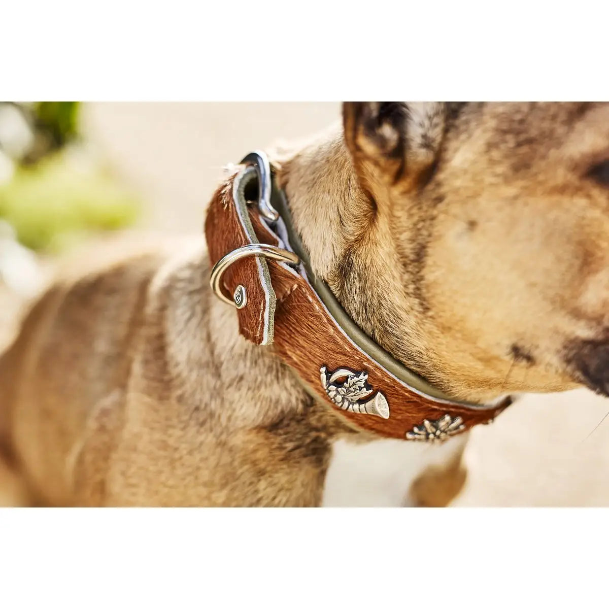 BAVARIA - Exklusives Hundehalsband im aufregenden Material-Mix
