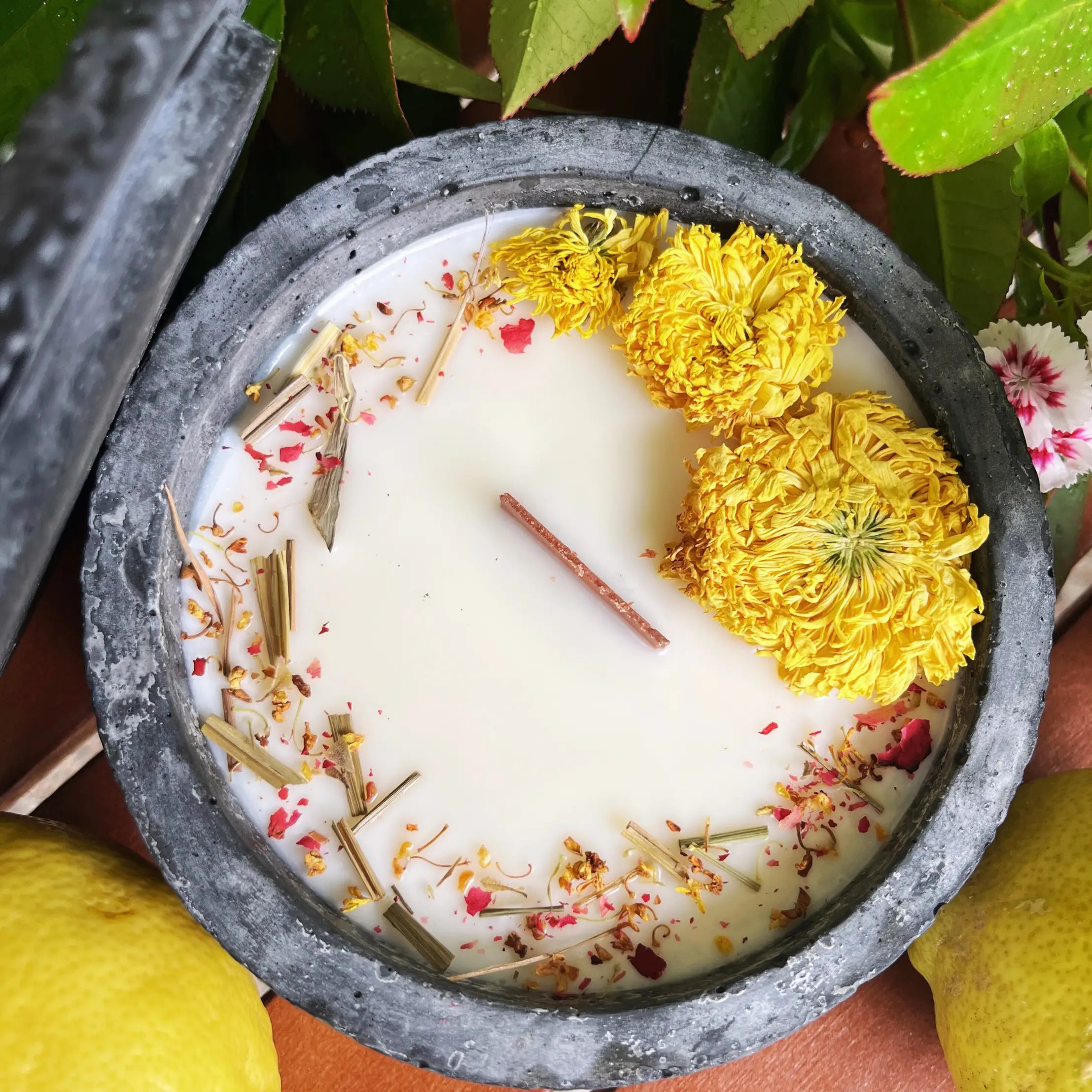 Black Edition HANDGEMACHTE Citronella BETONKERZE - Stilvolle Sojawachskerze für Ihr Zuhause. Outdoor Kerze