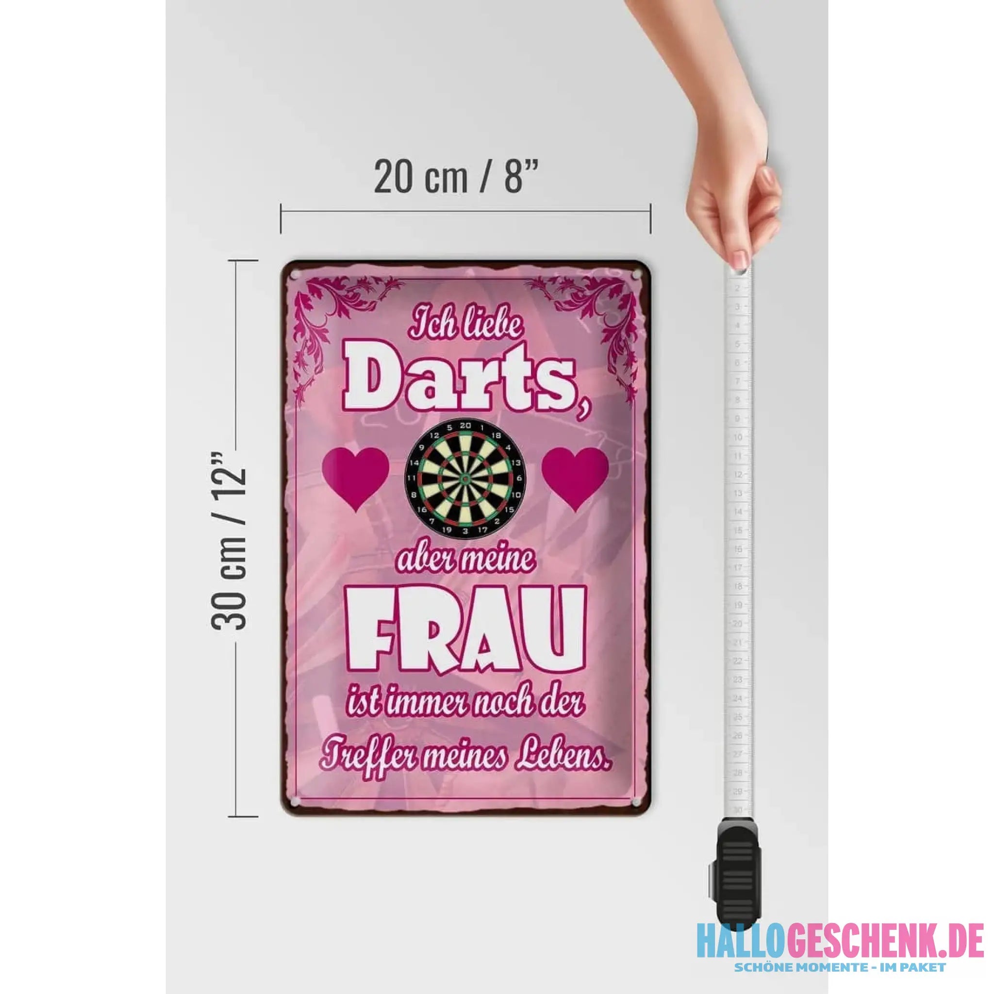 Blechschild Spruch 20x30cm Ich liebe Darts aber meine Frau