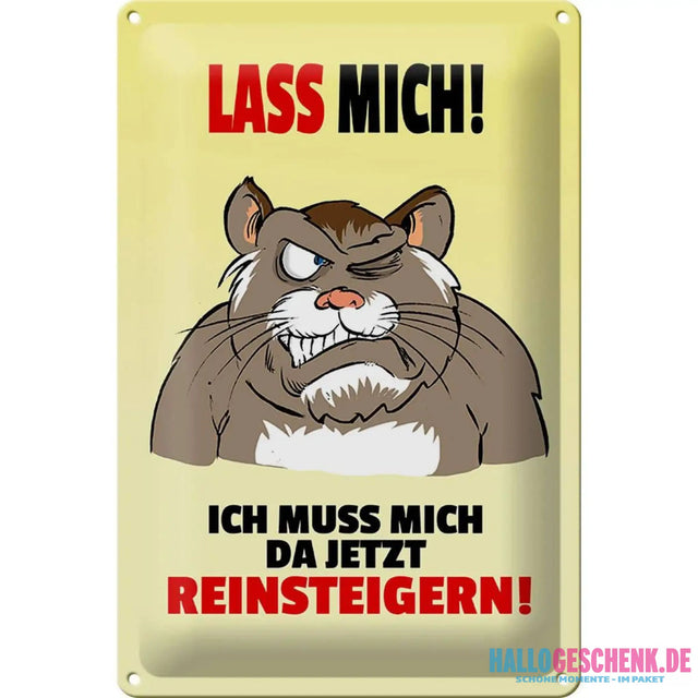 Blechschild Spruch 20x30cm Lass mich Muss mich da reinsteigern