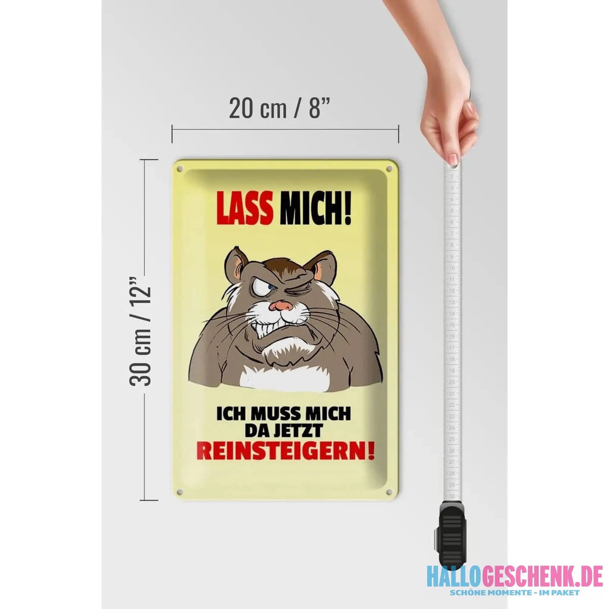 Blechschild Spruch 20x30cm Lass mich Muss mich da reinsteigern