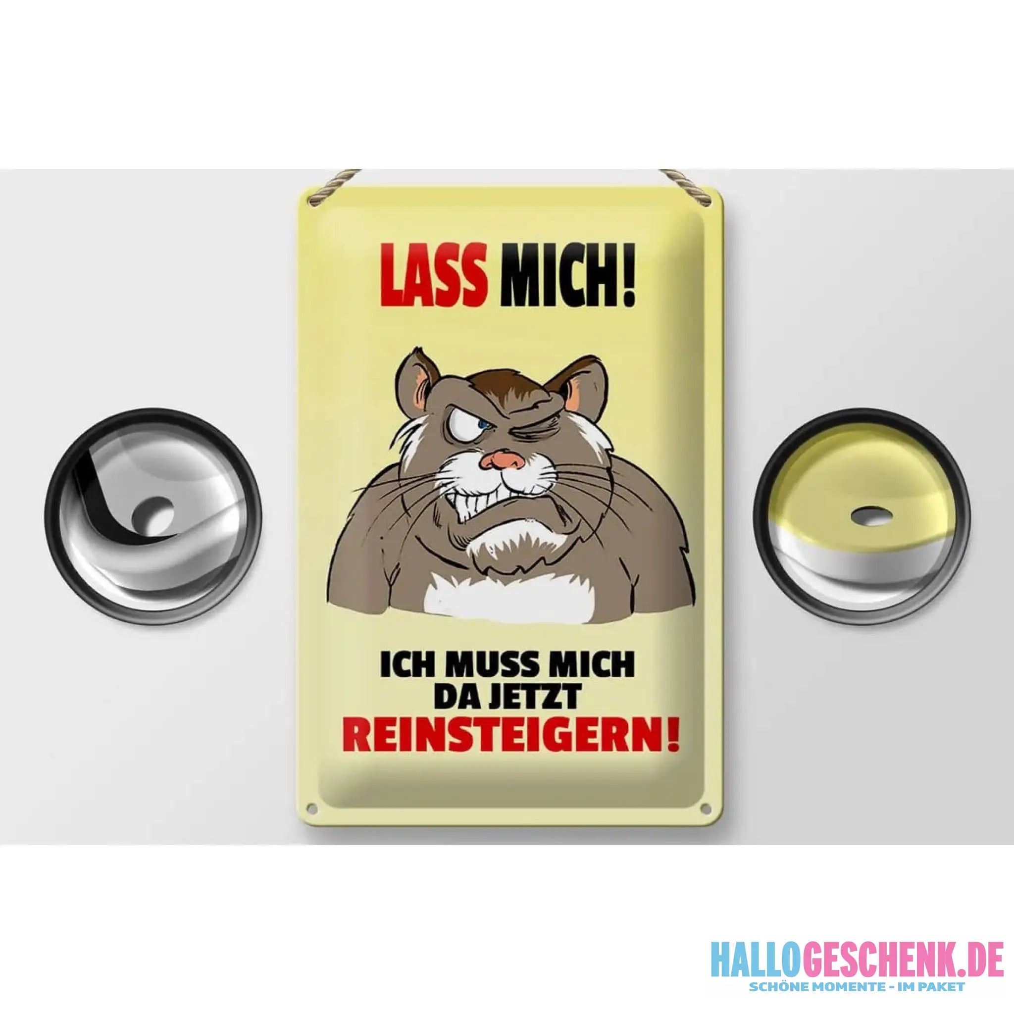 Blechschild Spruch 20x30cm Lass mich Muss mich da reinsteigern
