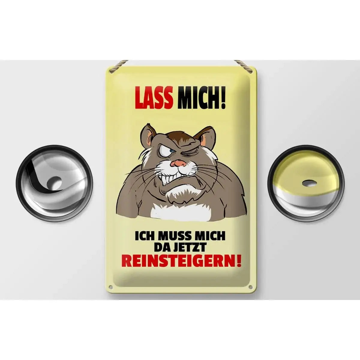 Blechschild Spruch 20x30cm Lass mich Muss mich da reinsteigern
