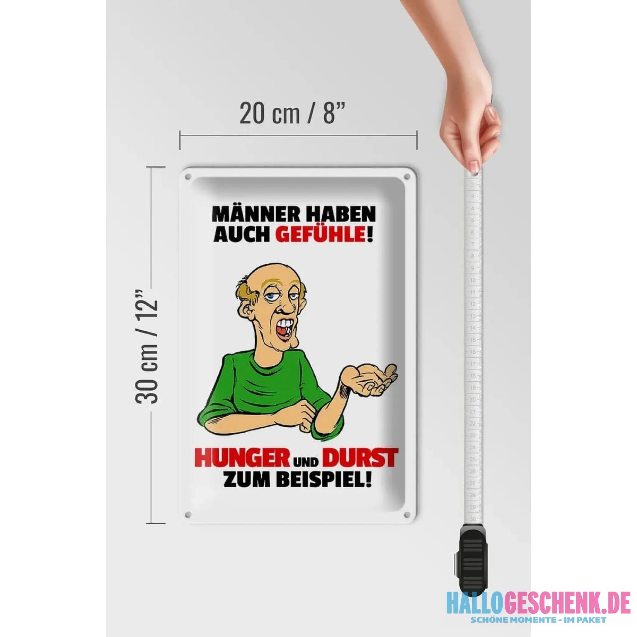 Blechschild Spruch 20x30cm Männer haben auch Gefühle