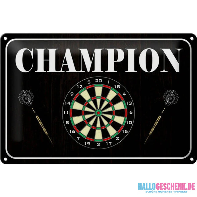 Blechschild Spruch 30x20cm Darts Champion