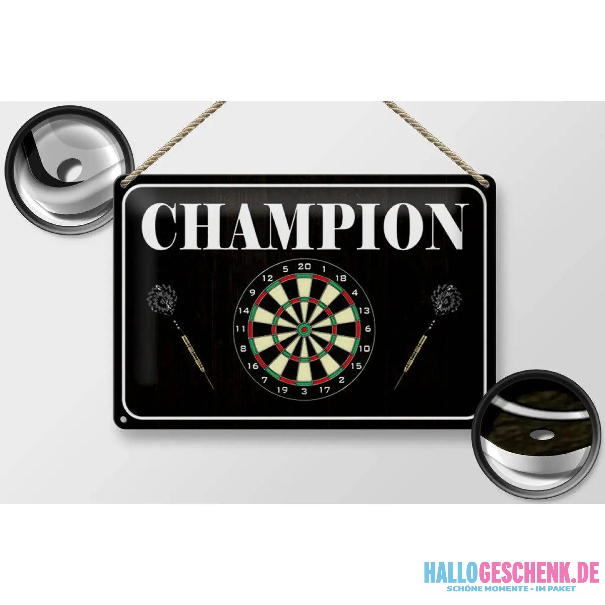 Blechschild Spruch 30x20cm Darts Champion