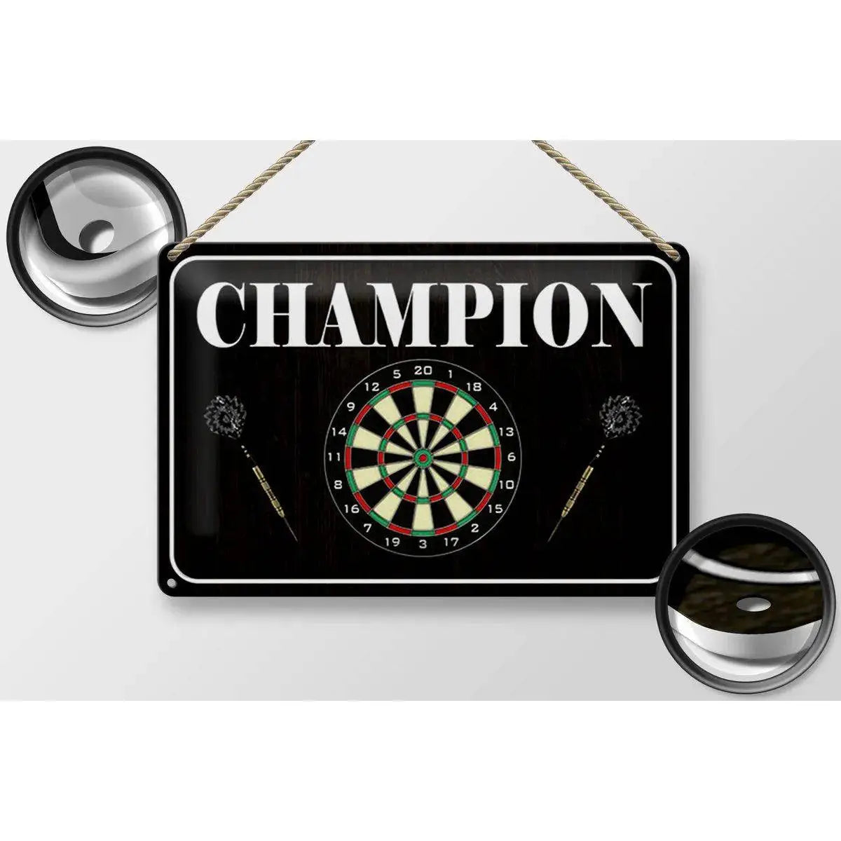 Blechschild Spruch 30x20cm Darts Champion