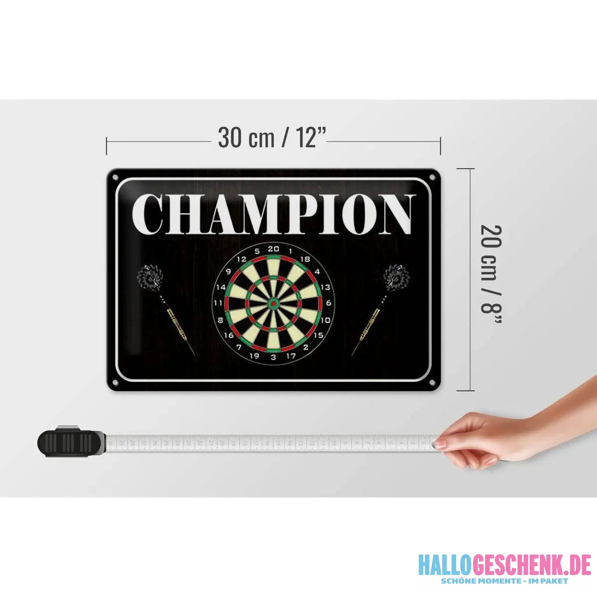 Blechschild Spruch 30x20cm Darts Champion