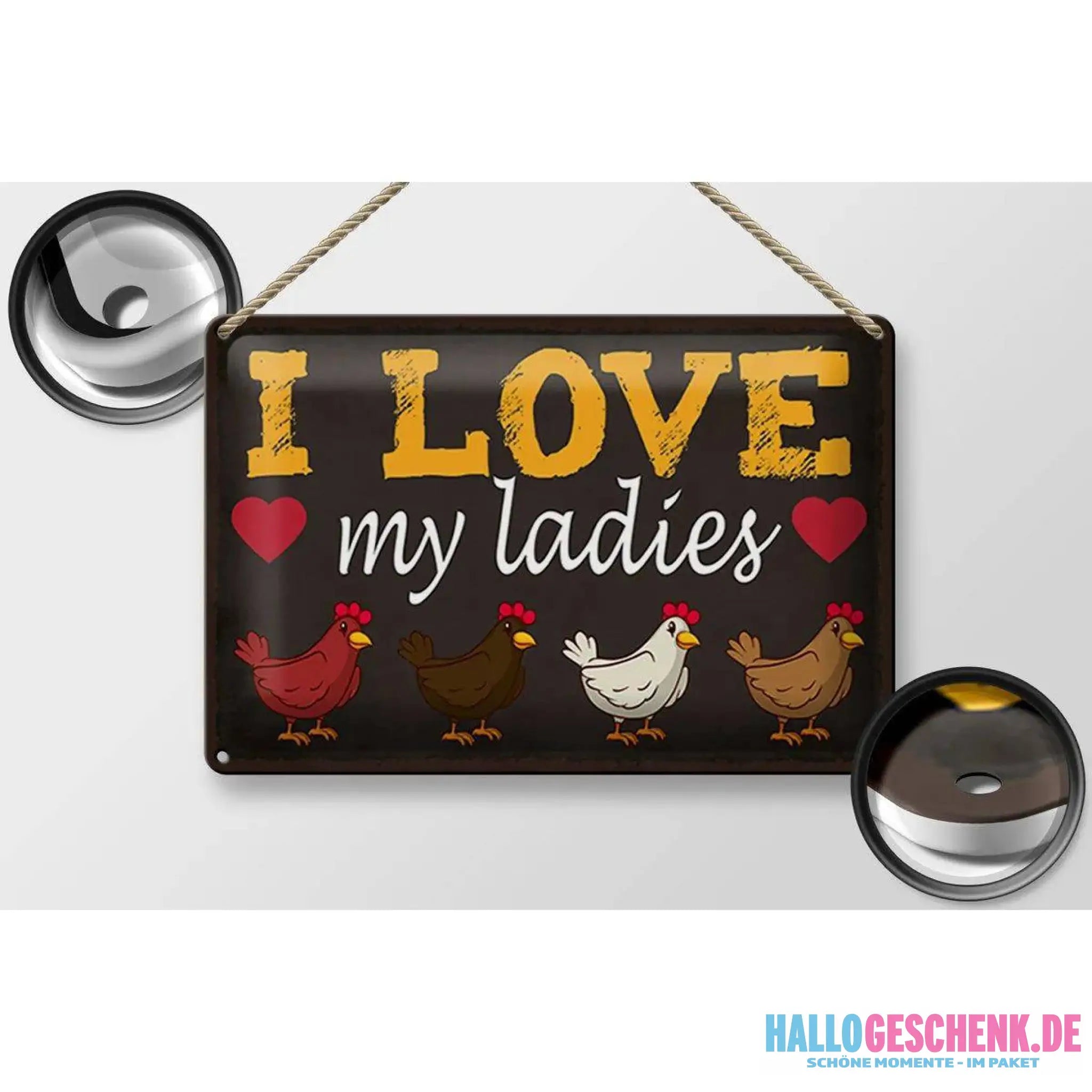 Blechschild Spruch 30x20cm Hühner i love my ladies