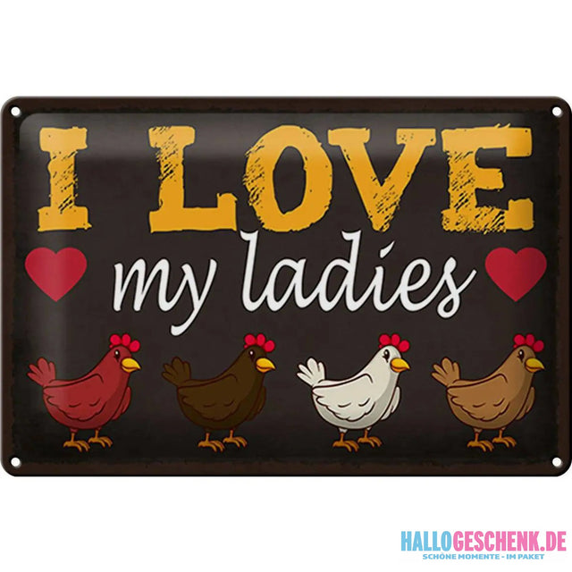 Blechschild Spruch 30x20cm Hühner i love my ladies