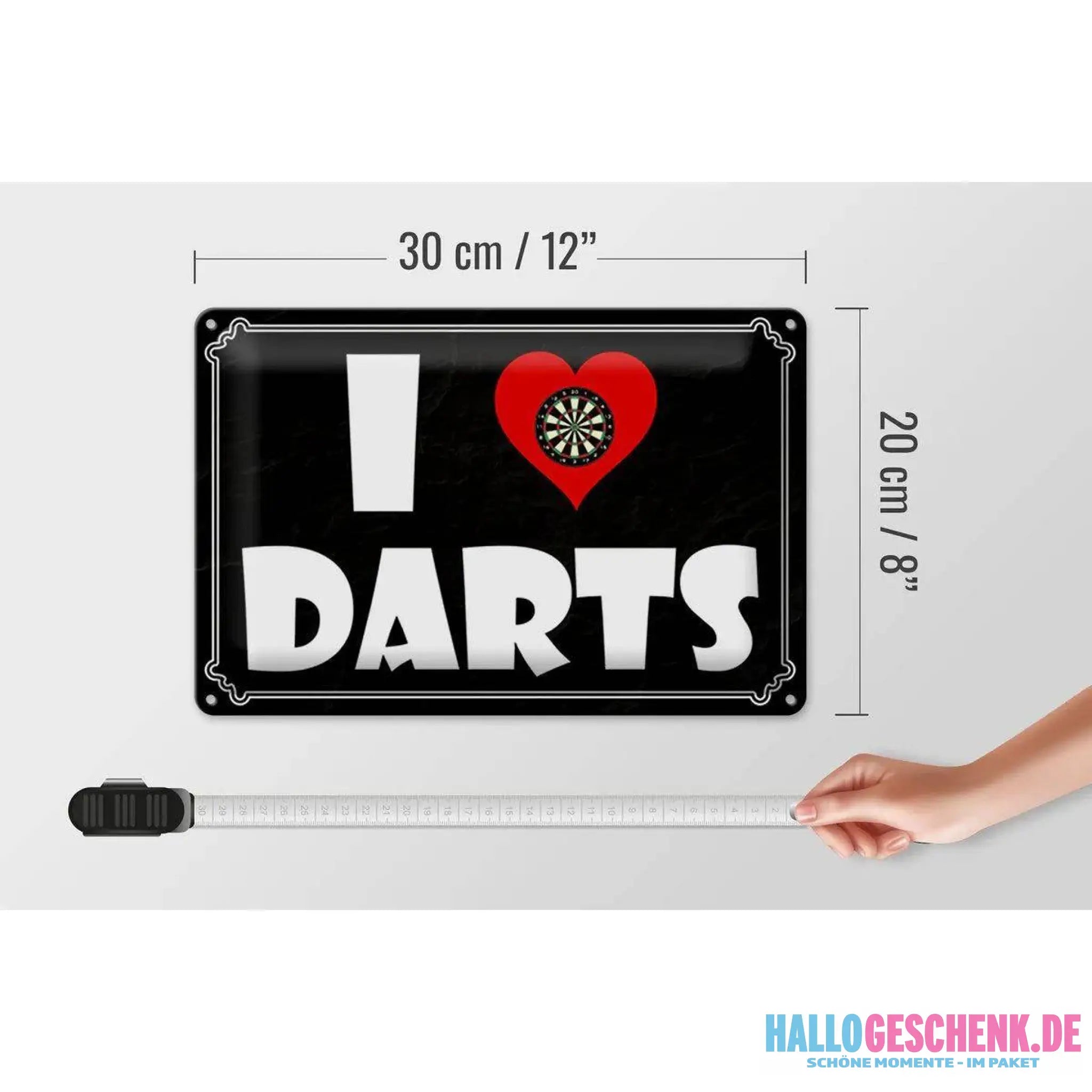 Blechschild Spruch 30x20cm I Love Darts Wanddeko