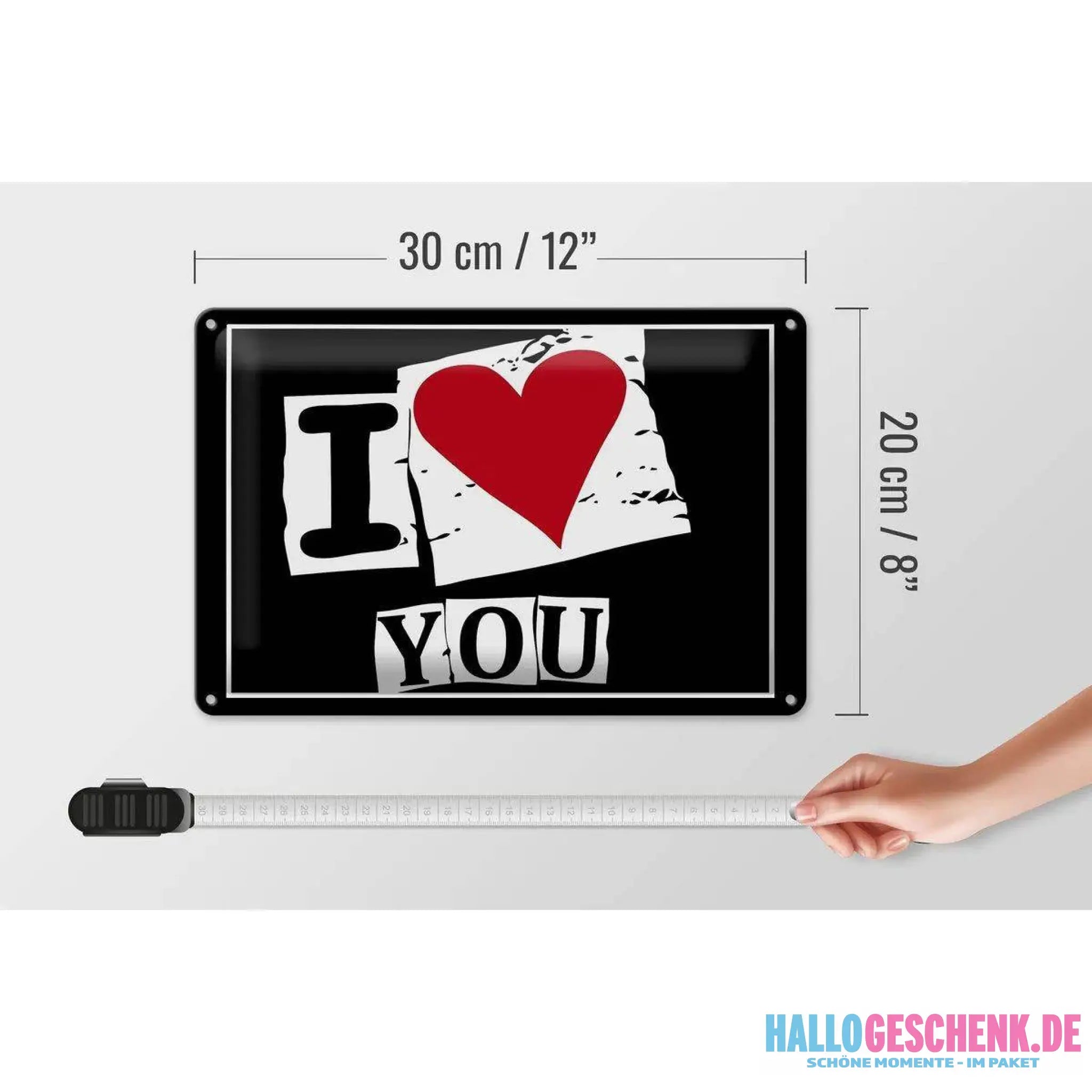 Blechschild Spruch 30x20cm I Love You Herz