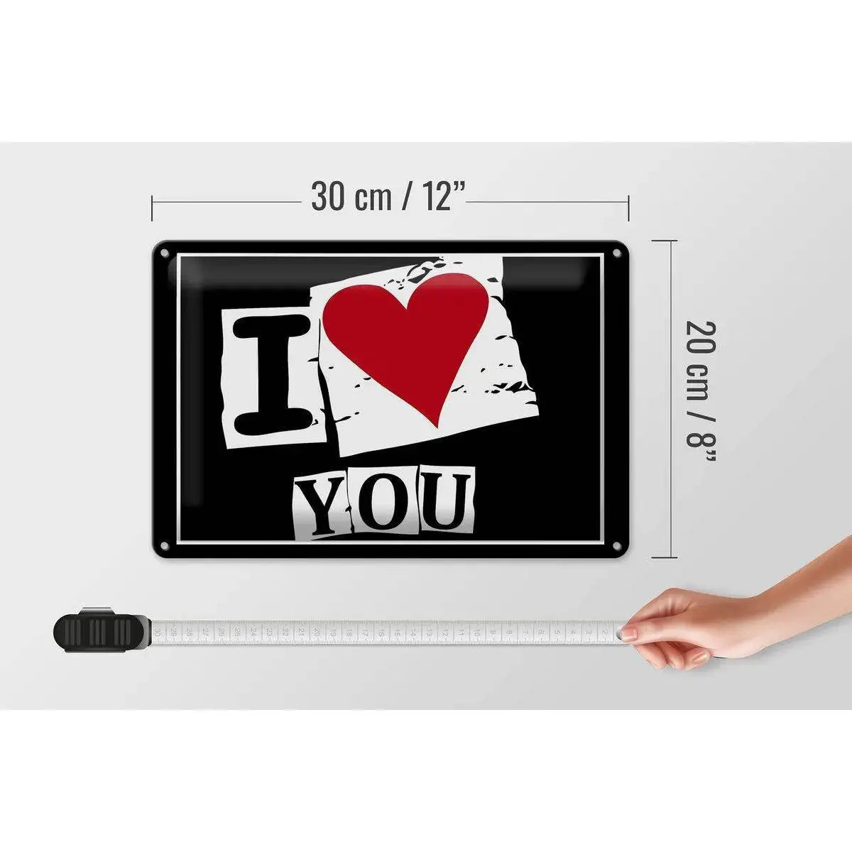 Blechschild Spruch 30x20cm I Love You Herz