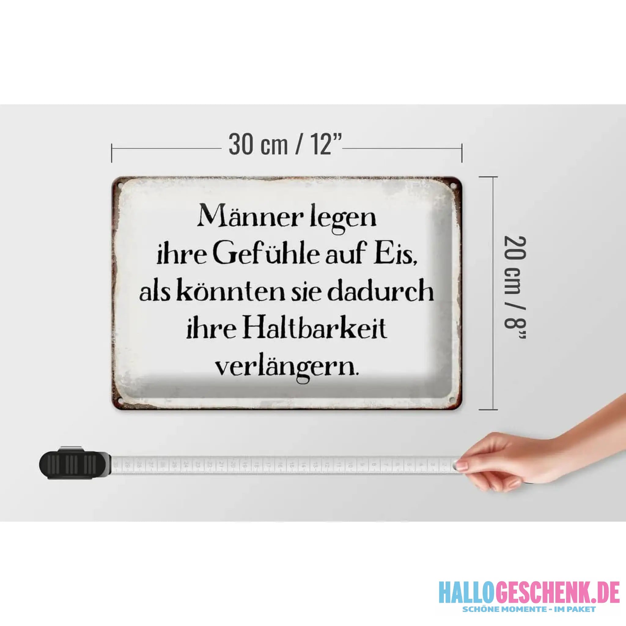 Blechschild Spruch 30x20cm Männer legen Gefühle auf Eis