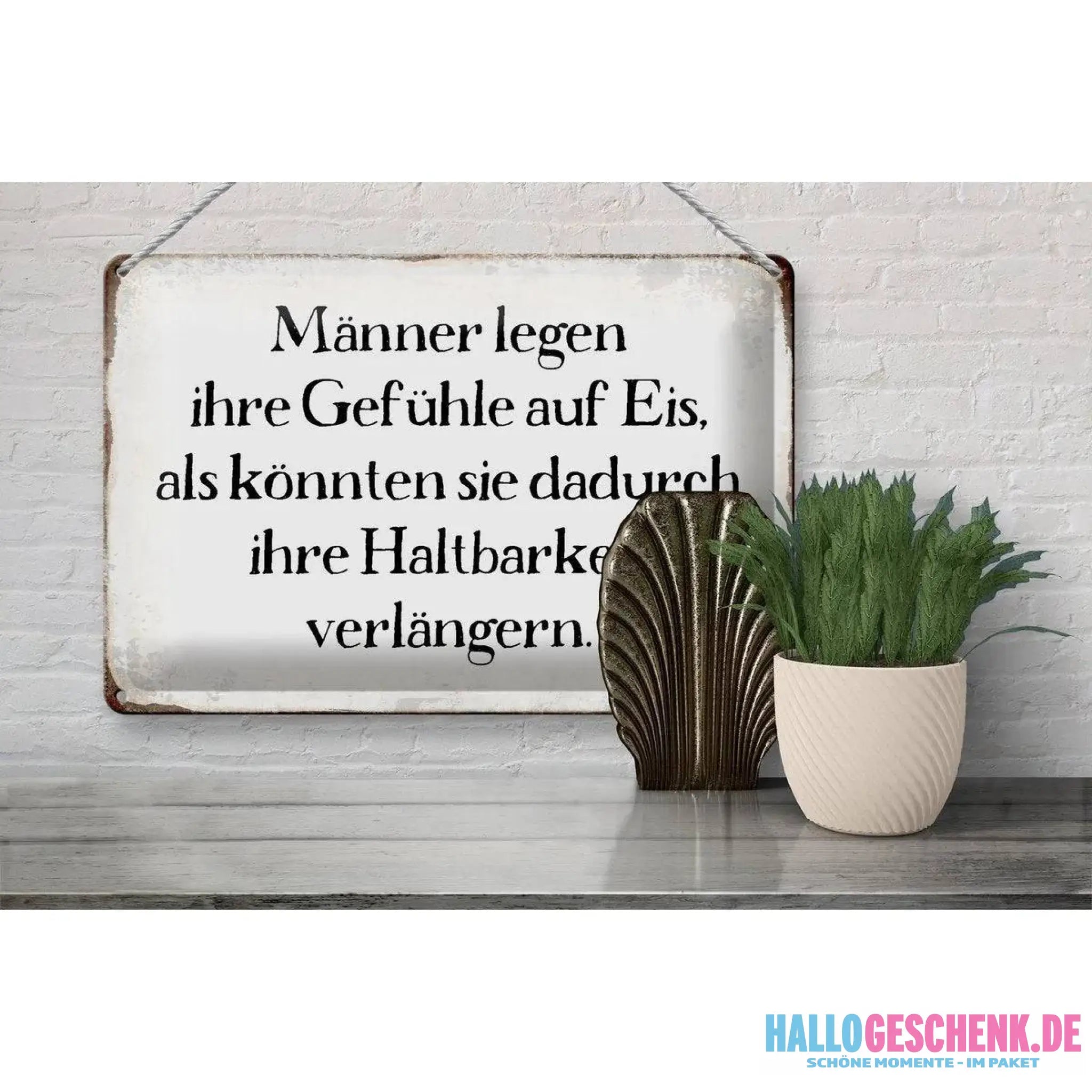 Blechschild Spruch 30x20cm Männer legen Gefühle auf Eis