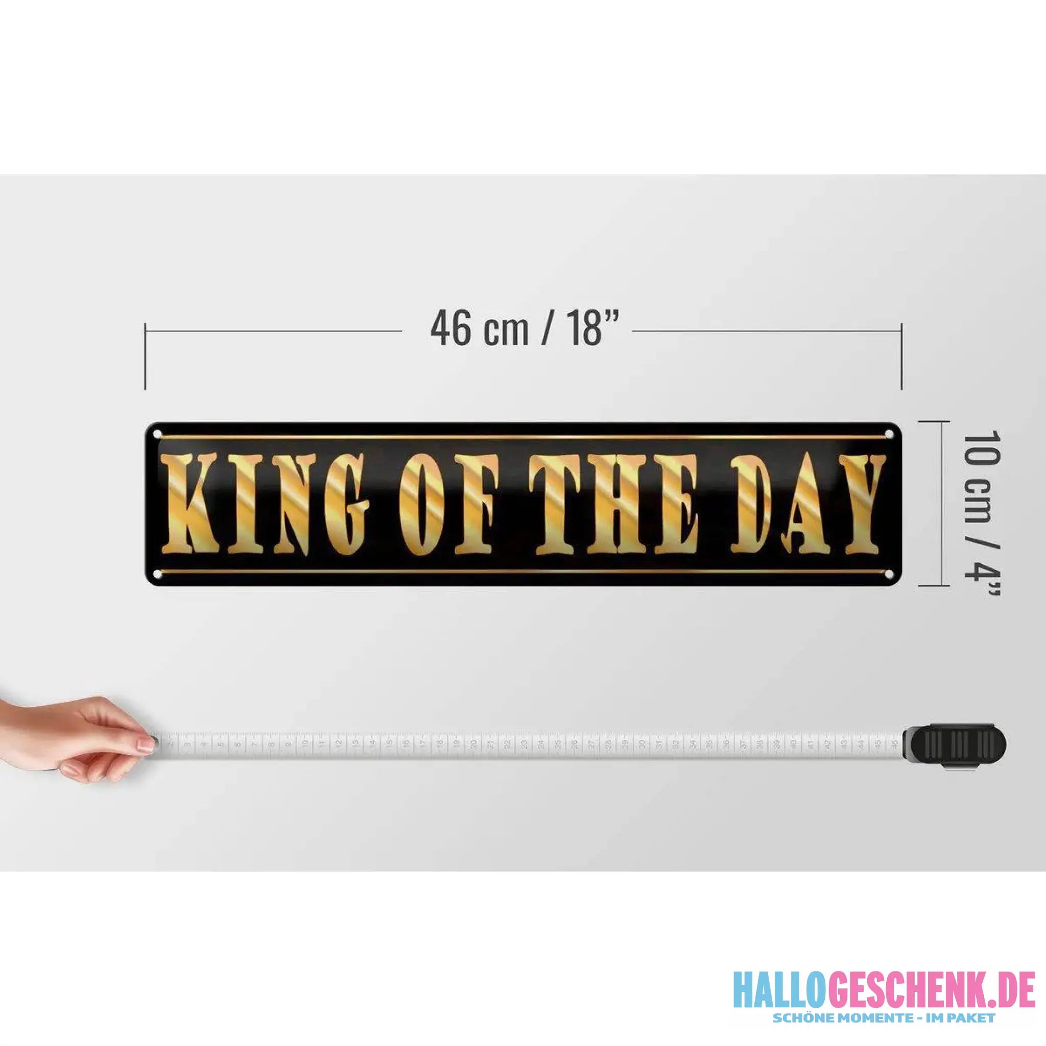 Blechschild Spruch 46x10 cm King of the Day König des Tages Deko Schild