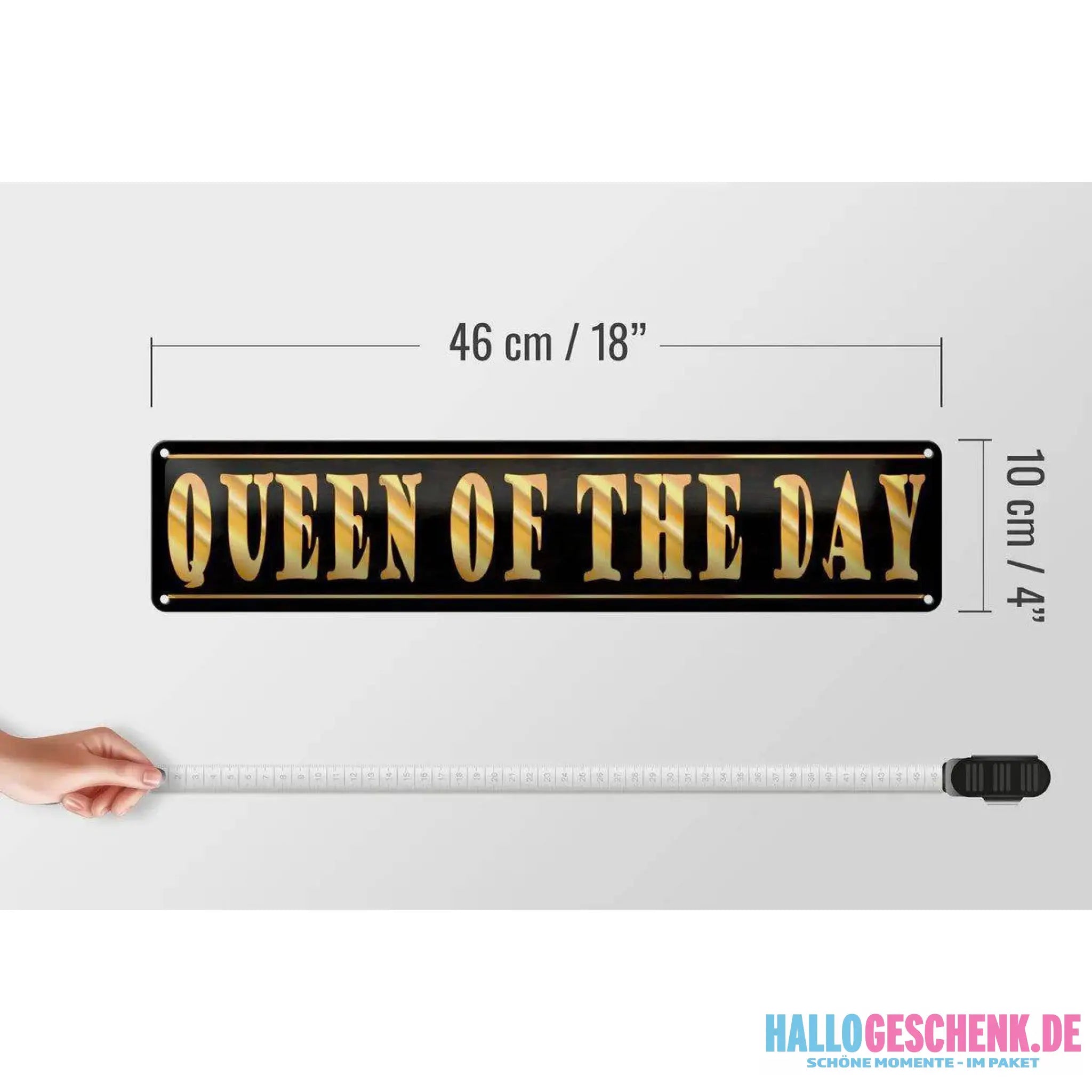 Blechschild Spruch 46x10 cm Queen of the Day Königin Metall Deko Schild