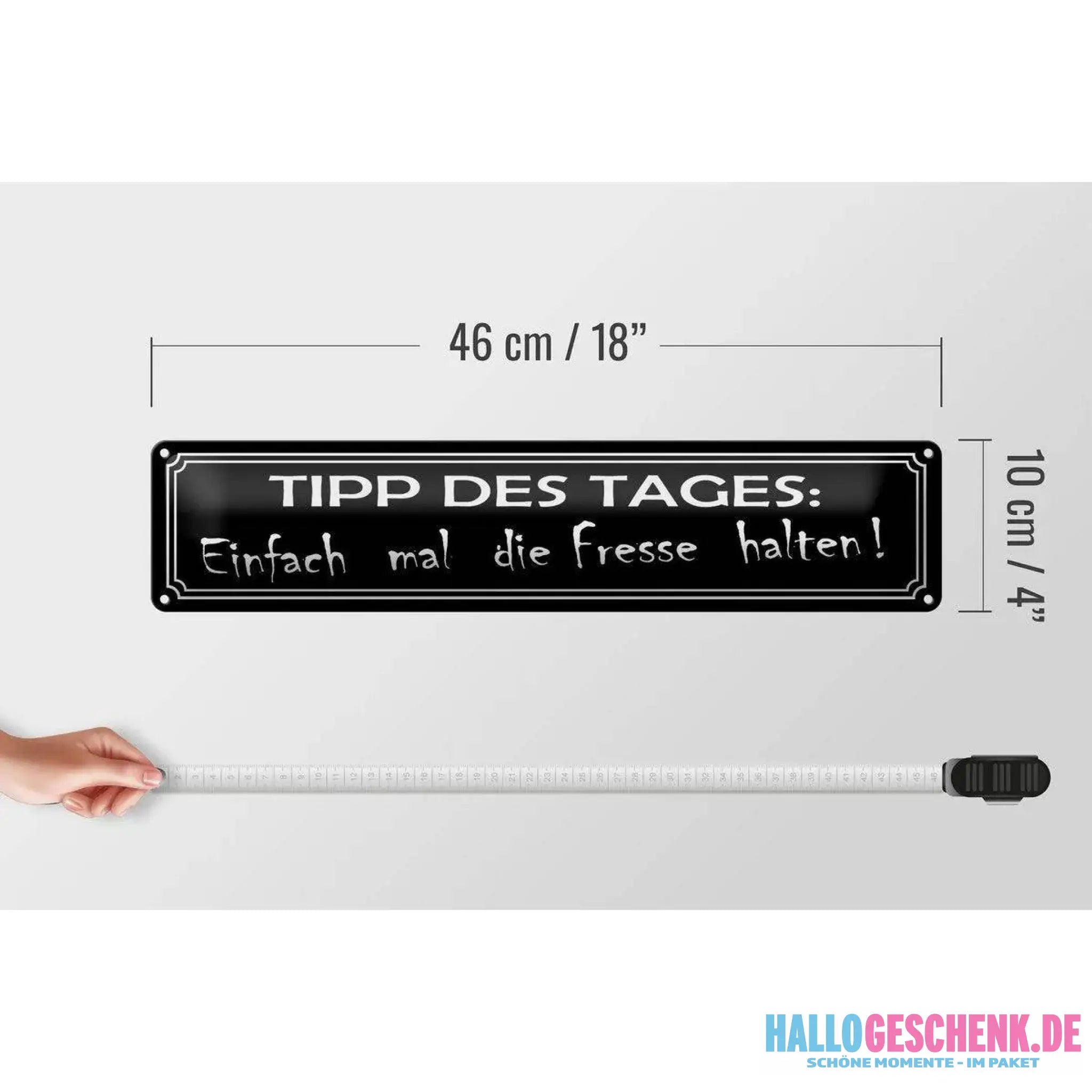 Blechschild Spruch 46x10cm Tipp des Tages die Fresse halten Deko Schild