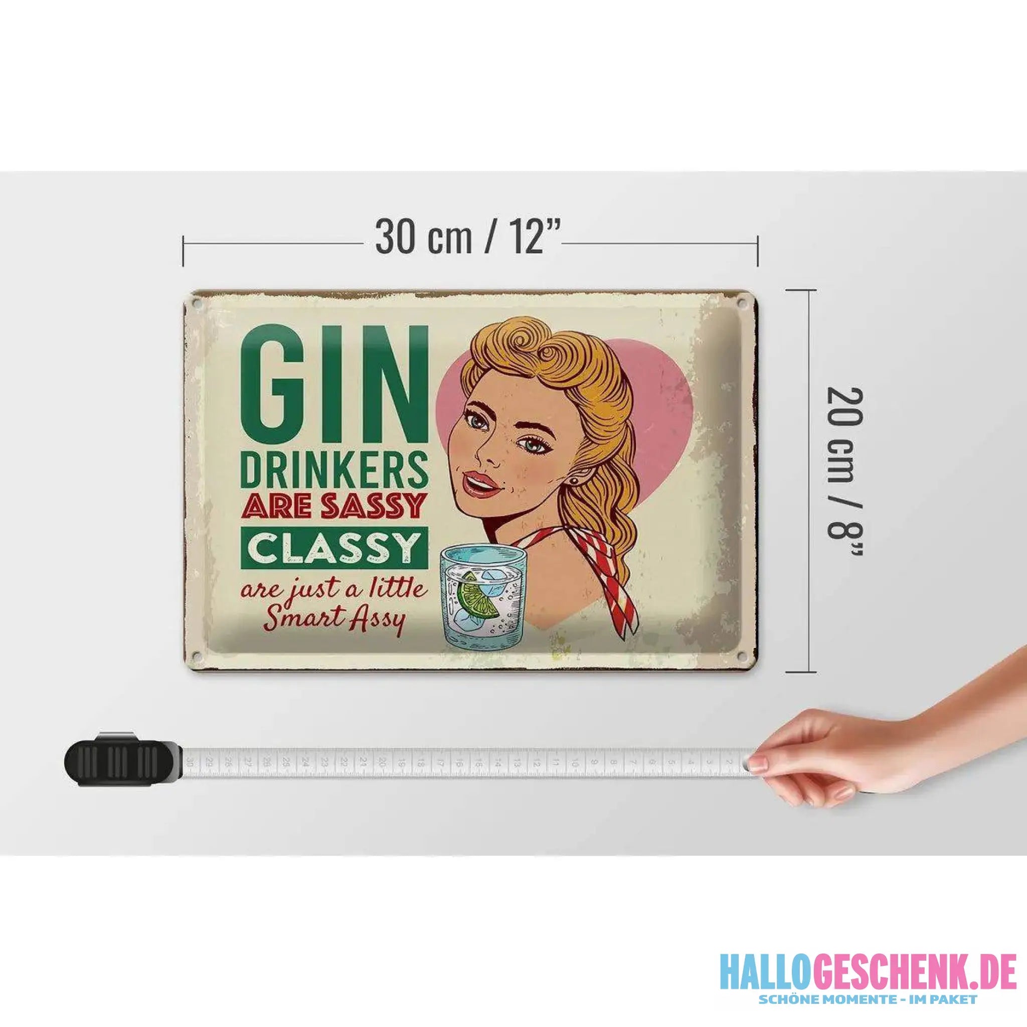 Blechschild Spruch Gin Drinkers are sassy classy 30x20cm