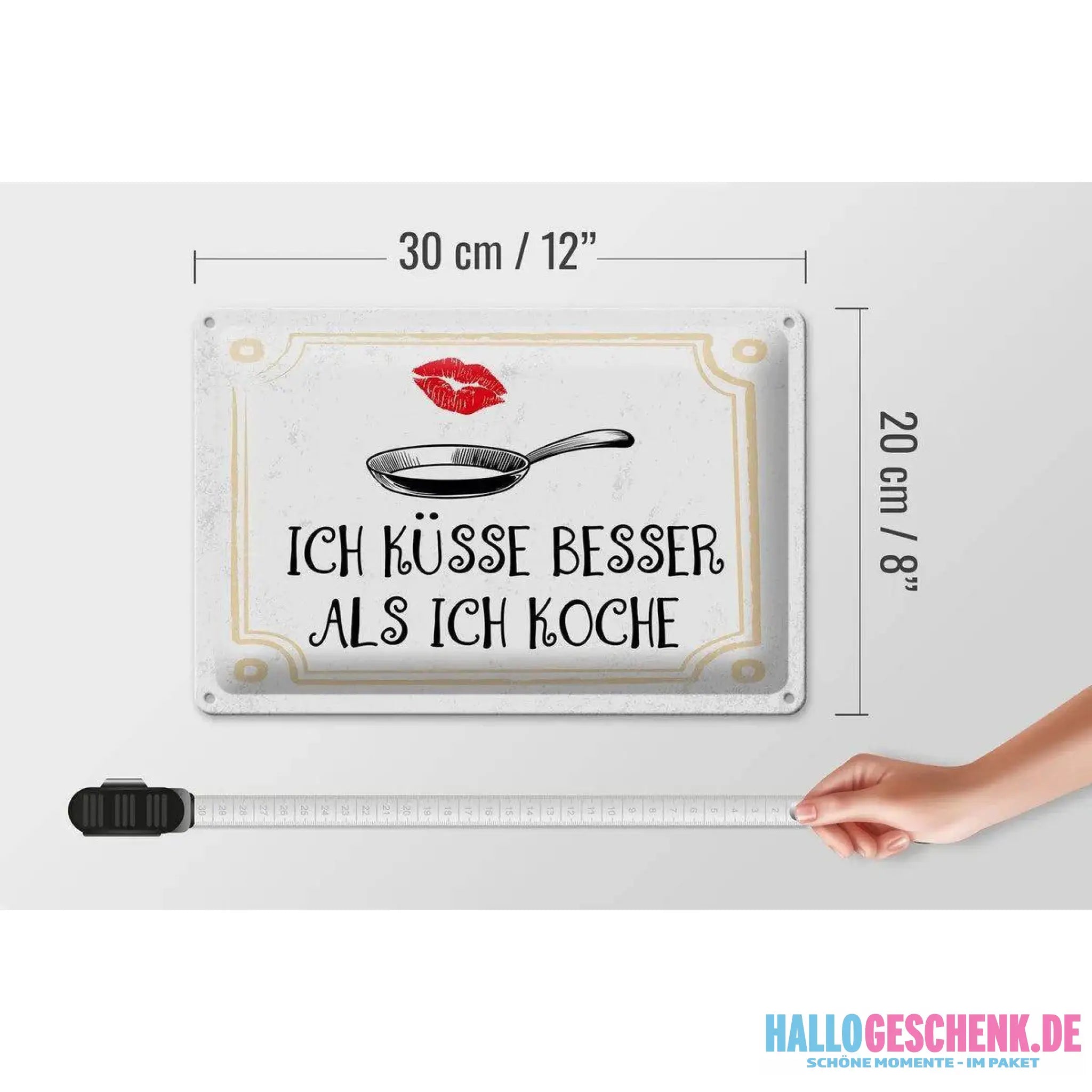 Blechschild Spruch Ich küsse besser als ich koche 30x20cm