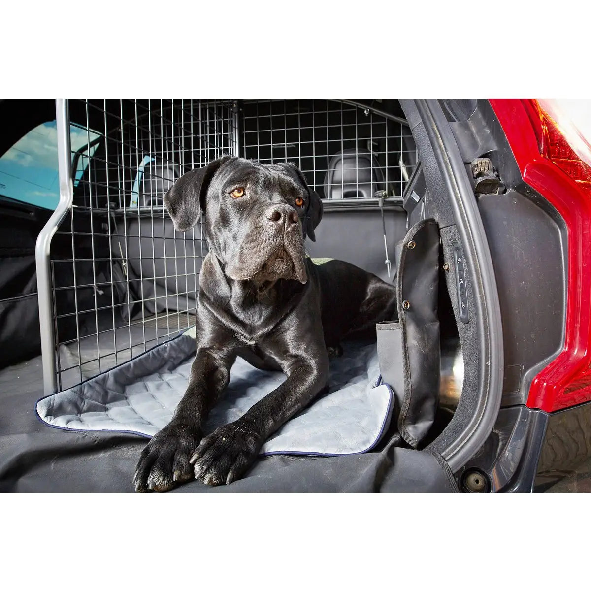 Decke OXFORD Grey - strapazierfähige Hundedecke in edler Samtoptik