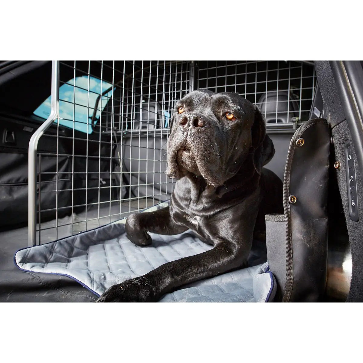 Decke OXFORD Grey - strapazierfähige Hundedecke in edler Samtoptik