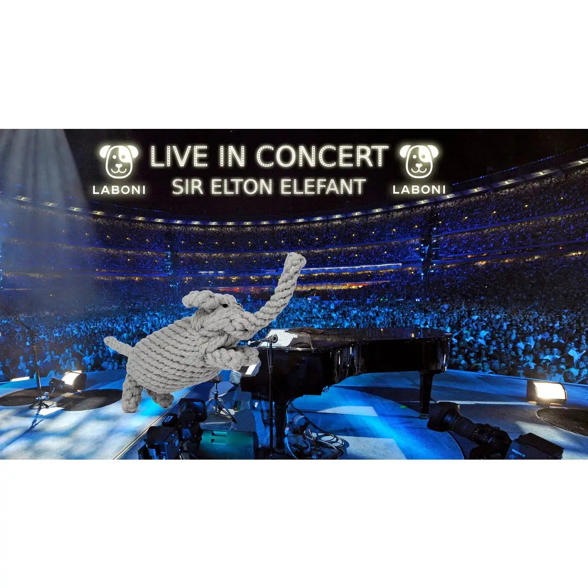 Elton Elefant - Kult-Spielzeug für Hunde