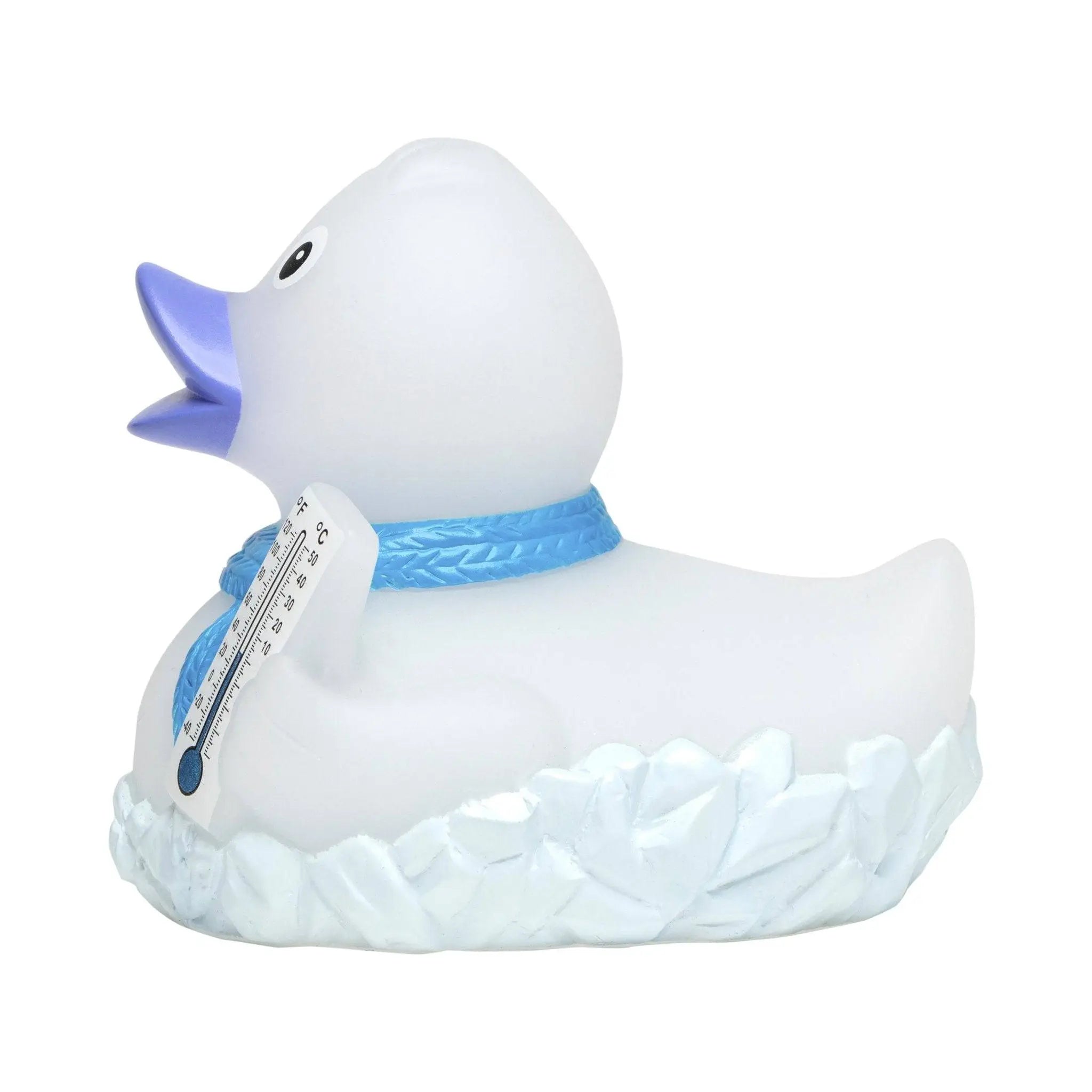 Weiße quietsche-ente mit blauem schnabel und füßen, blauer geflochtener halsband stehend im eisnest