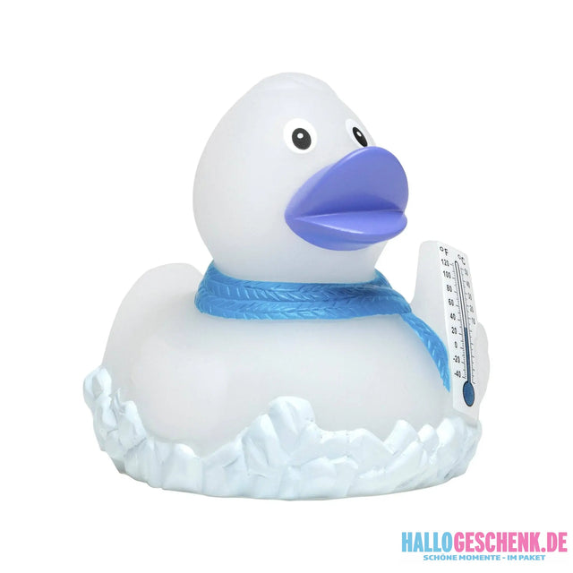 Frosty • Quietsche-Ente / Badeente