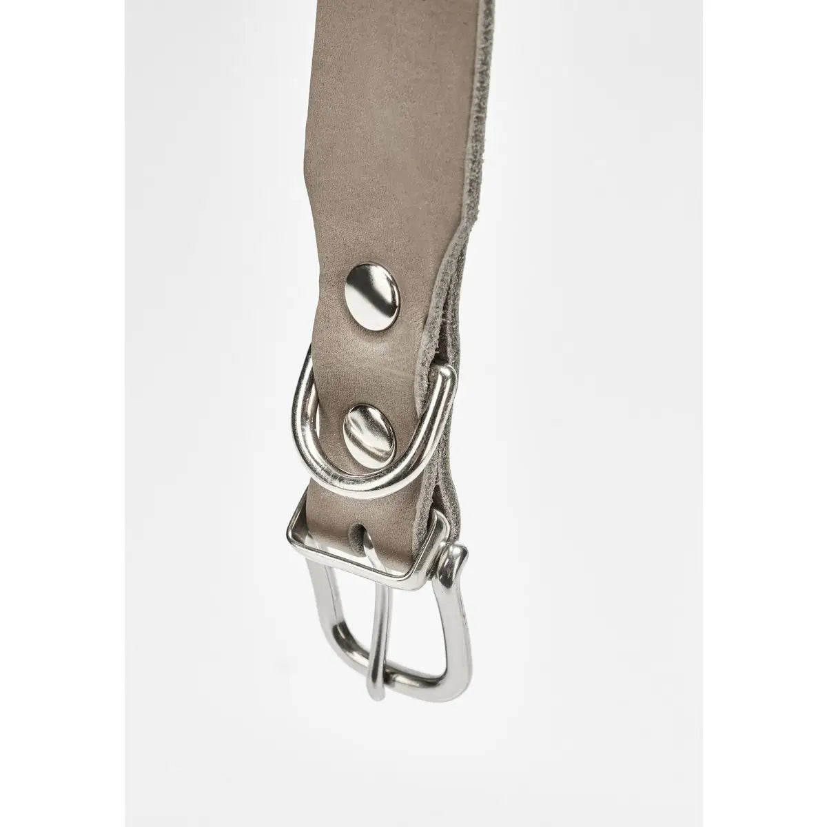 GIRO Grey - Klassisches Halsband für jeden Einsatz