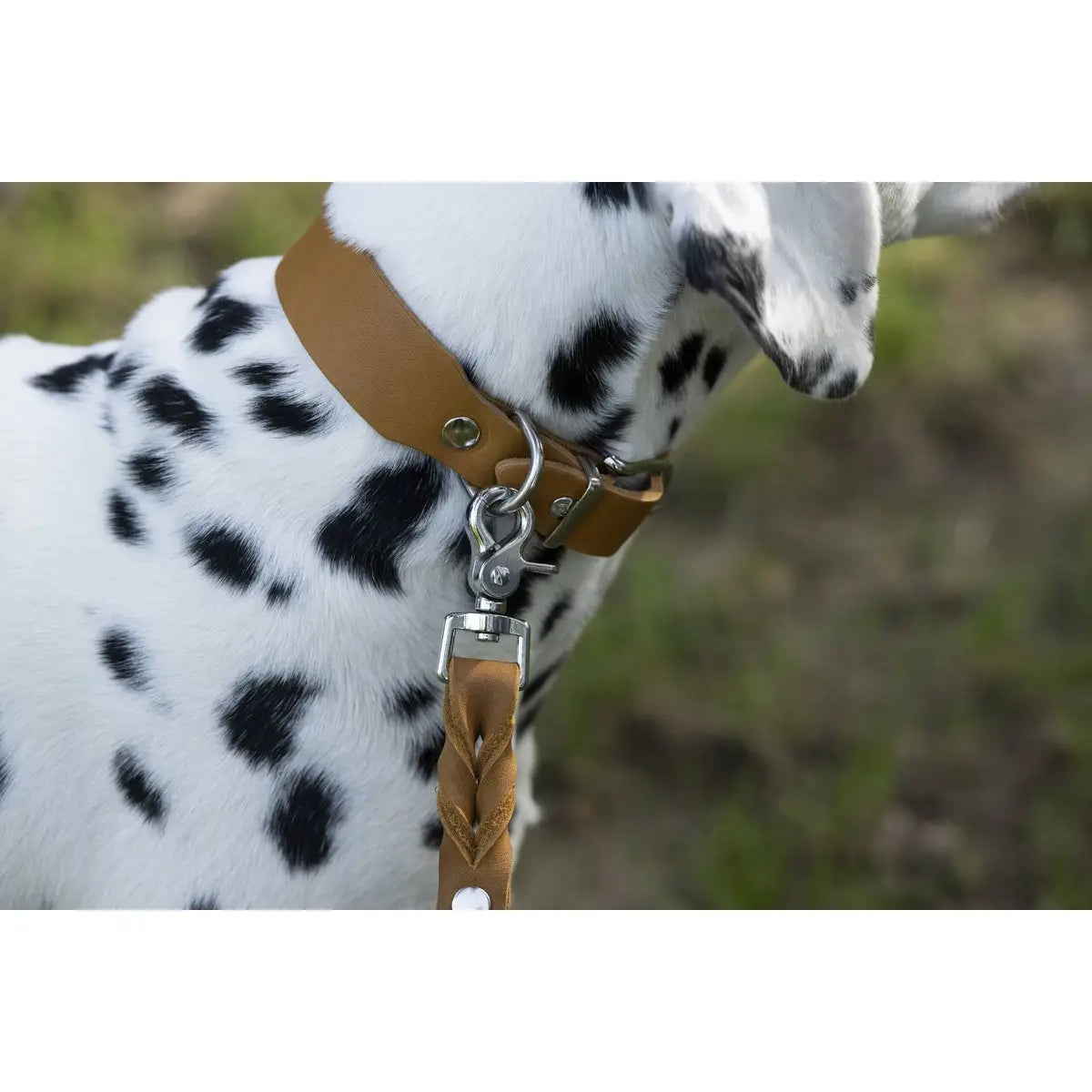 GIRO HONEY - Klassisches Halsband für jeden Einsatz