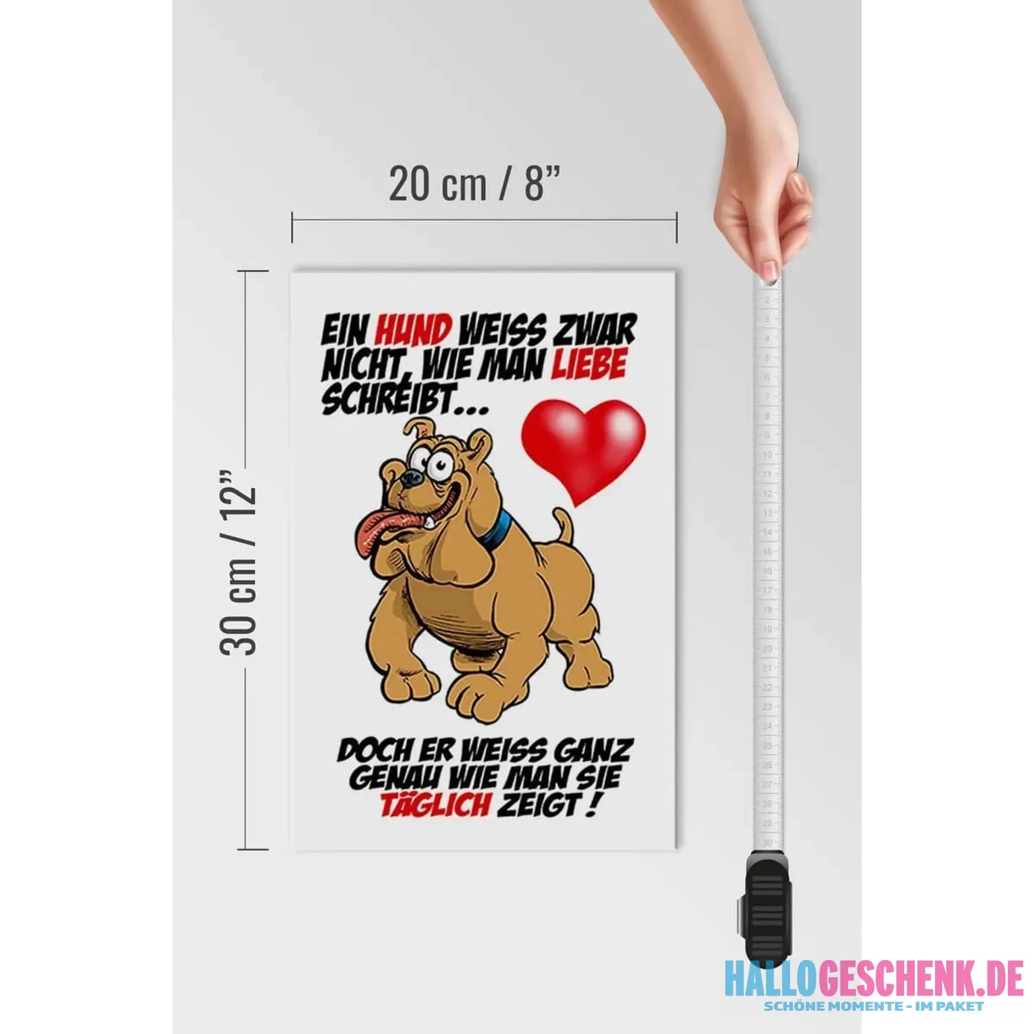 Holzschild Spruch 20x30cm Hund Liebe zeigen Deko Schild