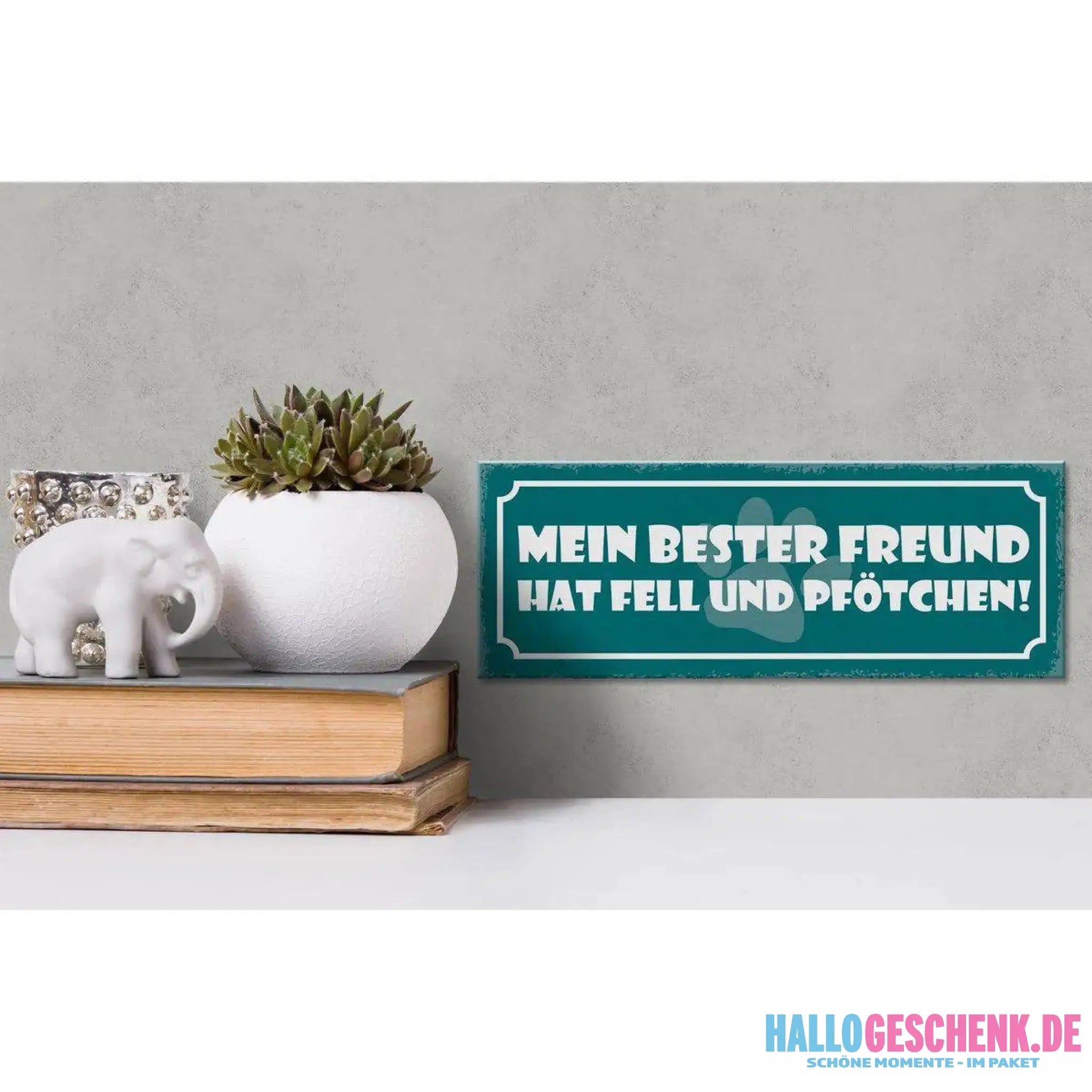 Holzschild Spruch 27x10cm Hund bester Freund Fell Pfötchen