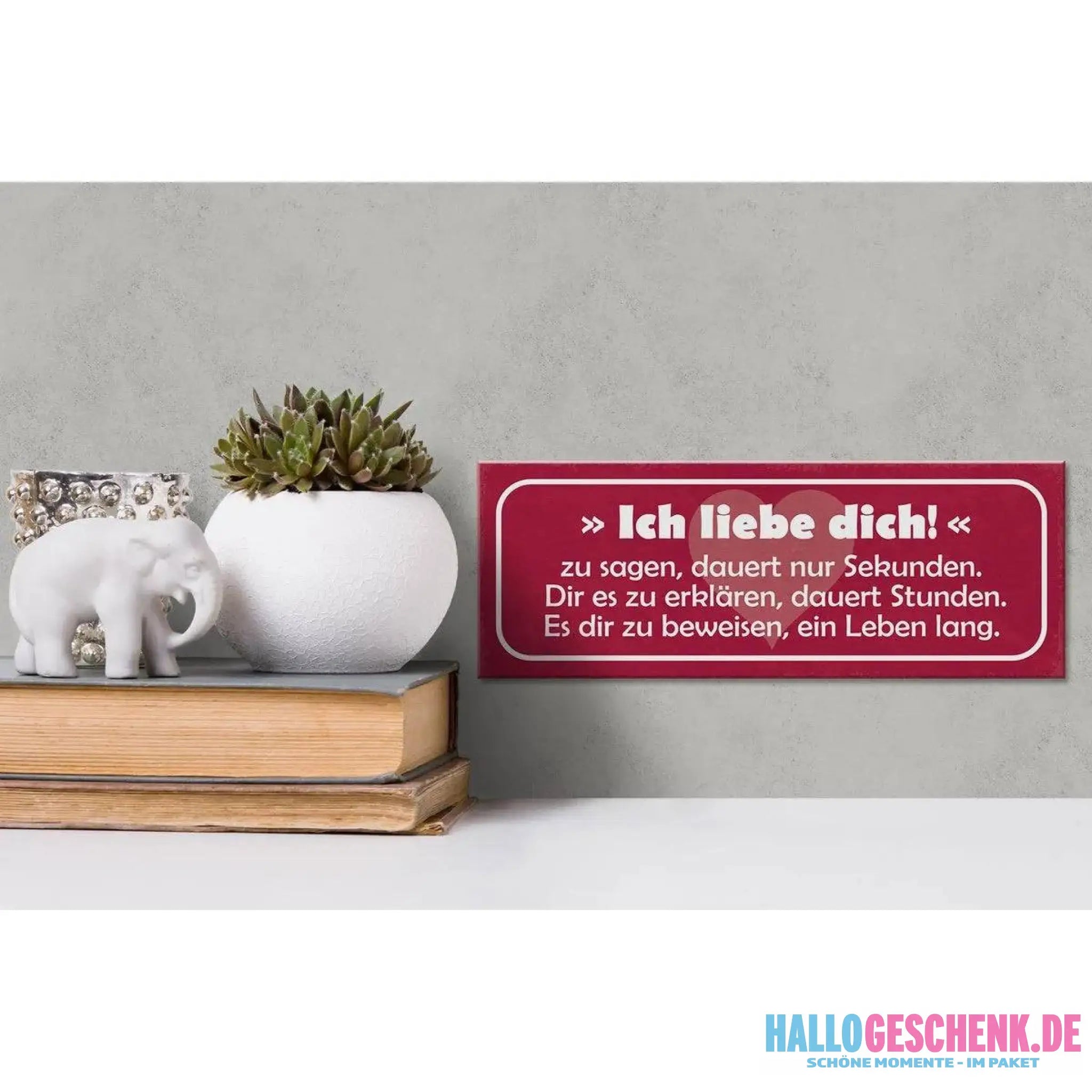 Holzschild Spruch 27x10cm Ich liebe dich zu sagen dauert