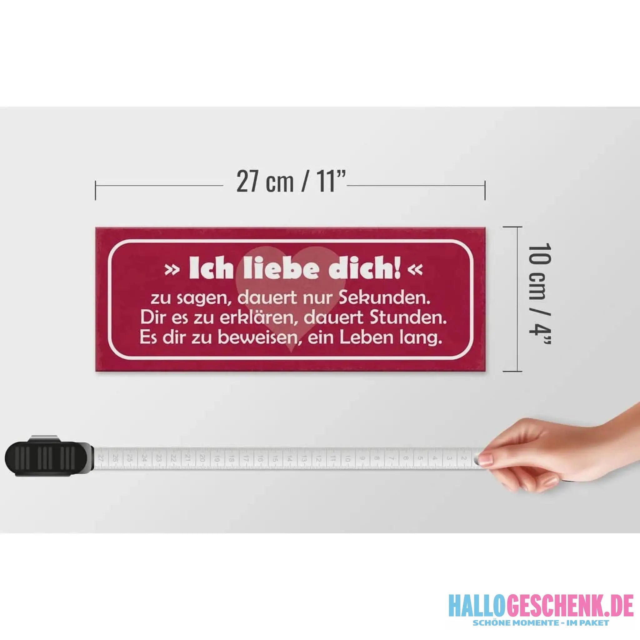 Holzschild Spruch 27x10cm Ich liebe dich zu sagen dauert