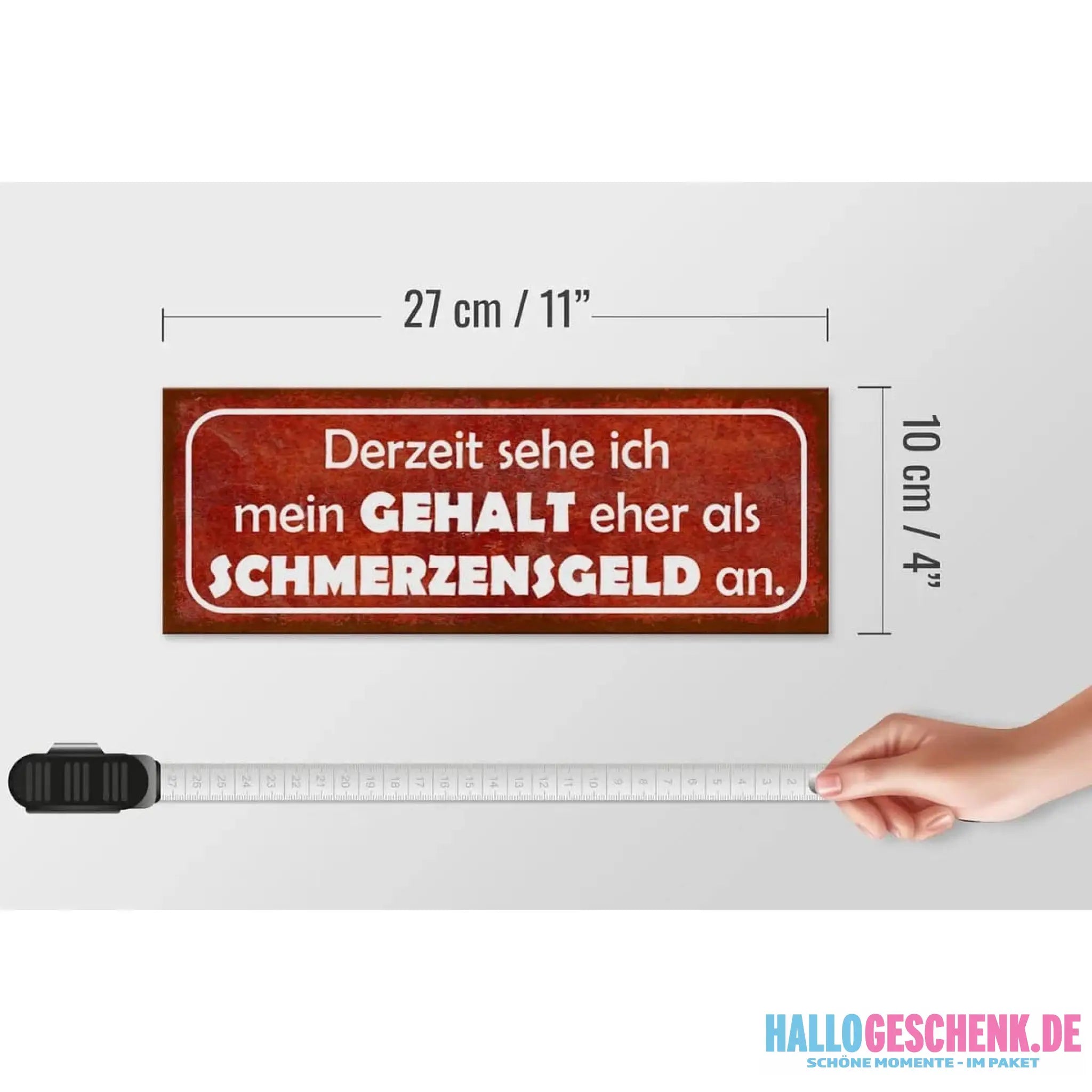 Holzschild Spruch 27x10cm Mein Gehalt eher Schmerzensgeld