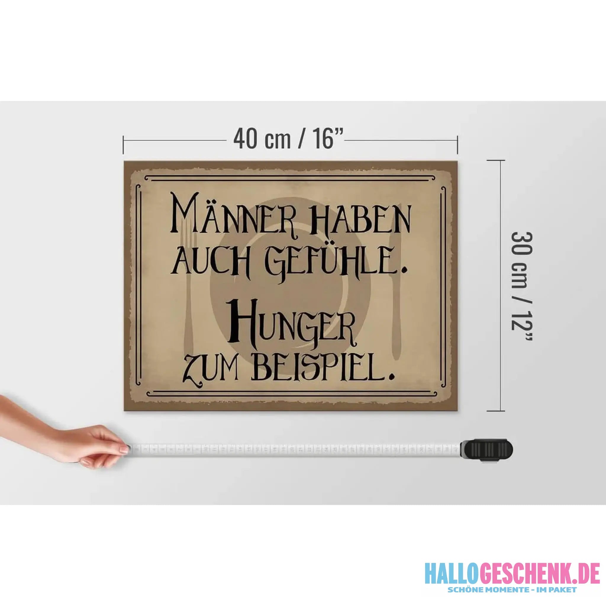 Holzschild Spruch 40x30cm Männer haben auch Gefühle Hunger Schild