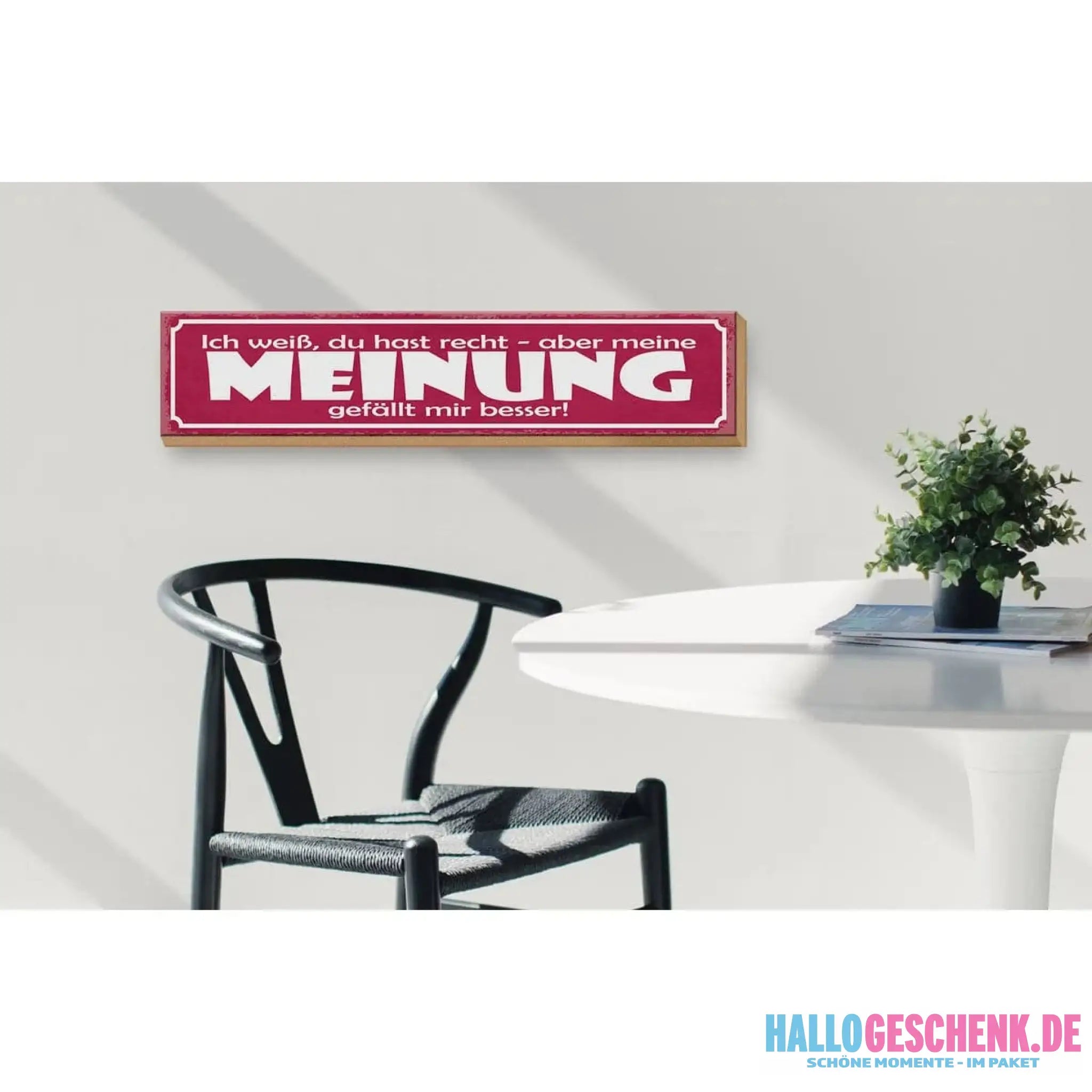 Holzschild Spruch 46x10cm Du hast Recht aber meine Meinung Dekoration