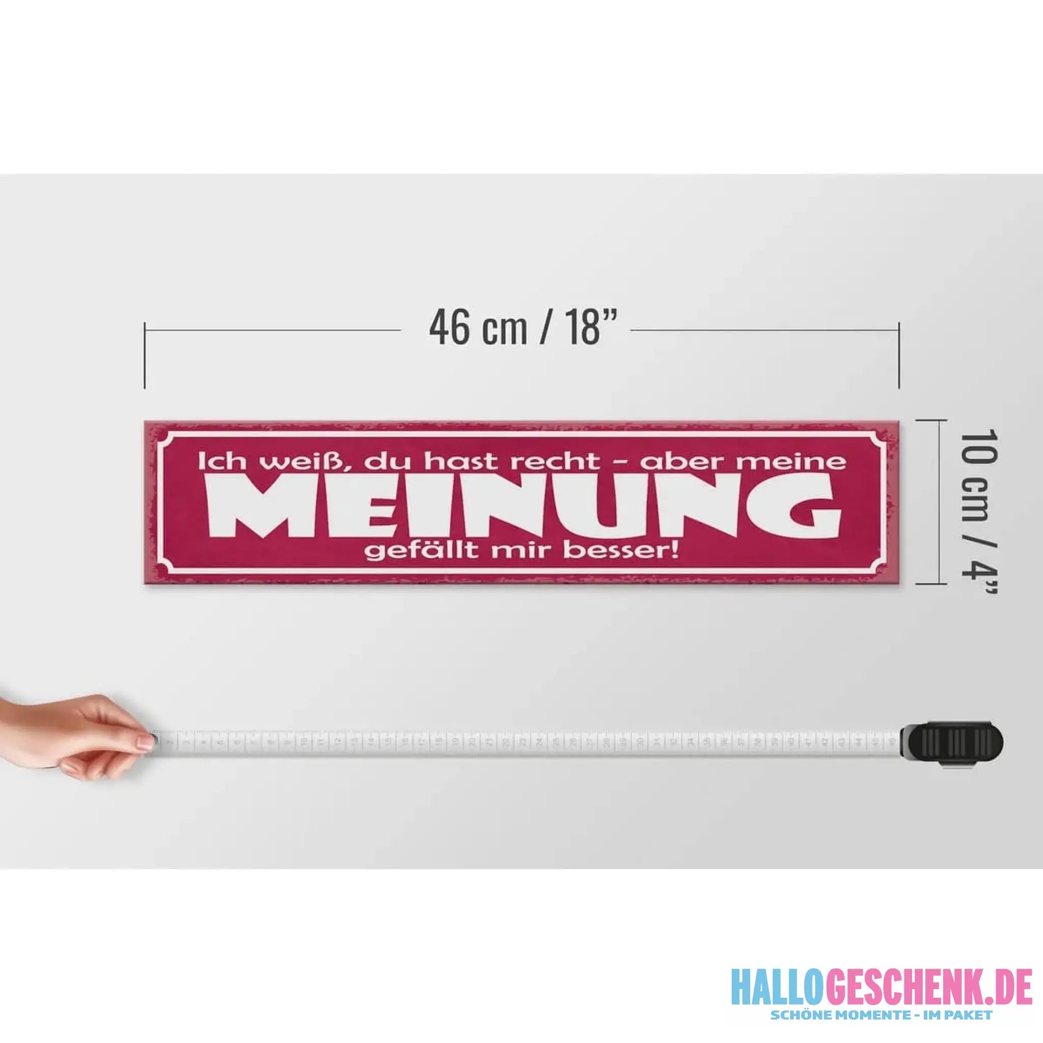 Holzschild Spruch 46x10cm Du hast Recht aber meine Meinung Dekoration