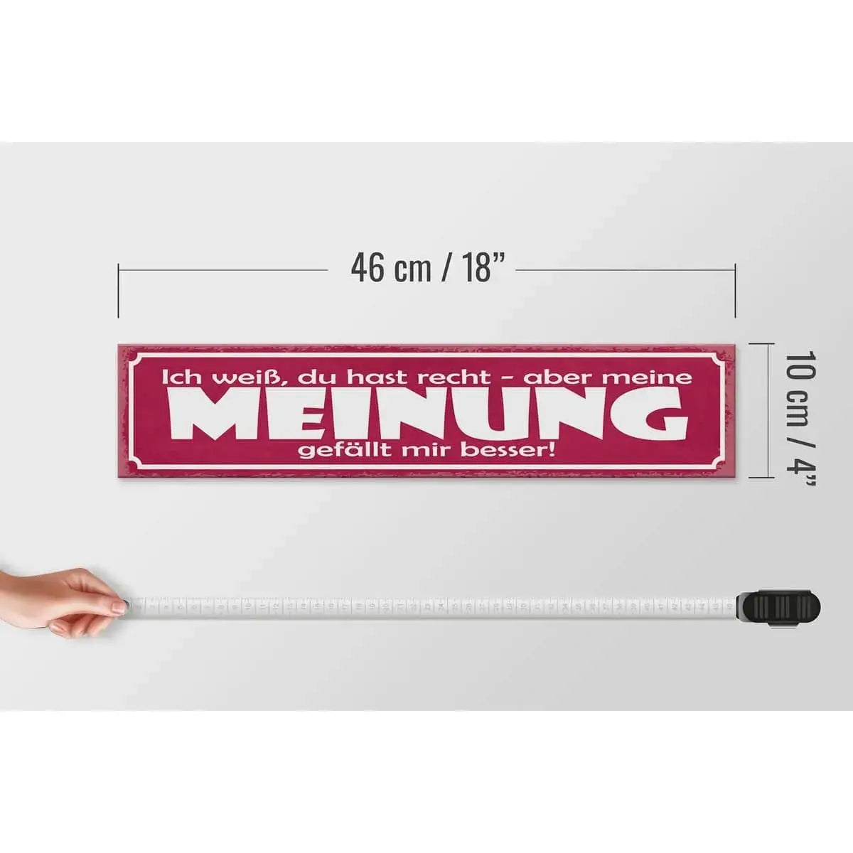 Holzschild Spruch 46x10cm Du hast Recht aber meine Meinung Dekoration