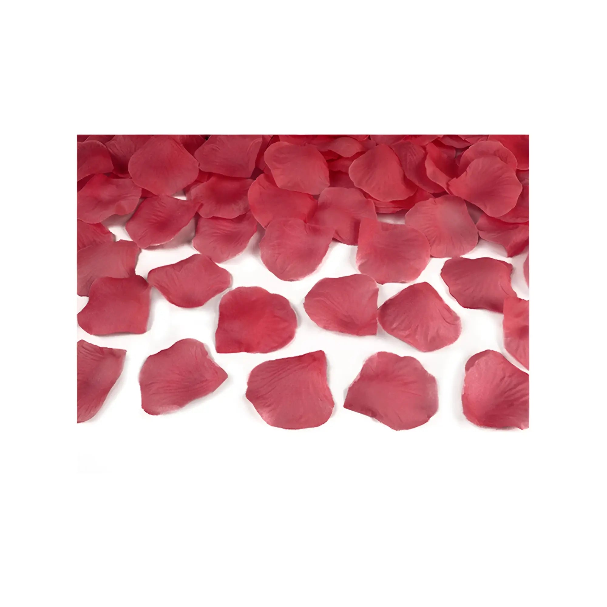 Konfettikanone mit roten künstlichen rosenblättern mit leicht glänzendem finish 60 cm lang