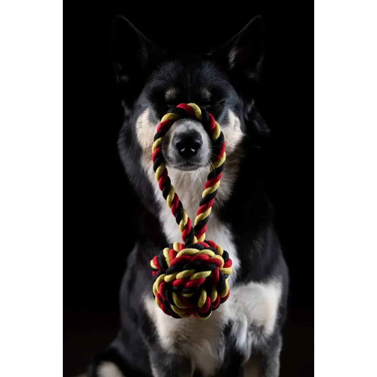 National Schleuderball - Kult-Spielzeug für Hunde