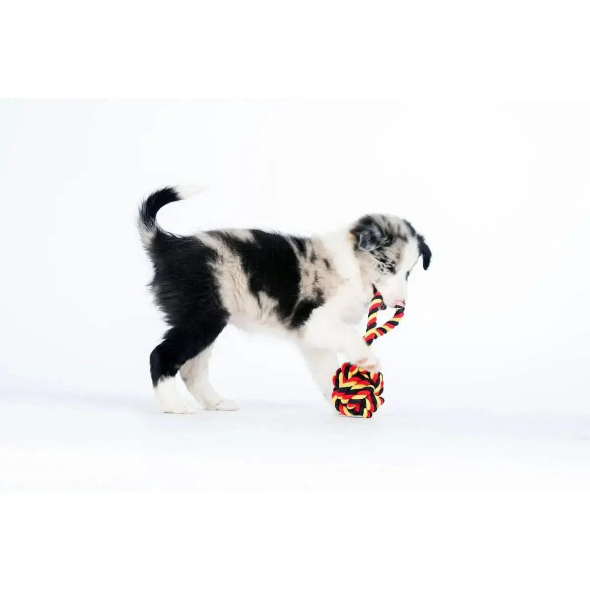 National Schleuderball - Kult-Spielzeug für Hunde