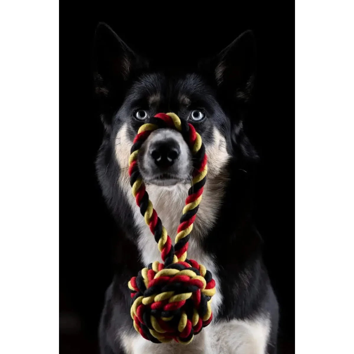 National Schleuderball - Kult-Spielzeug für Hunde