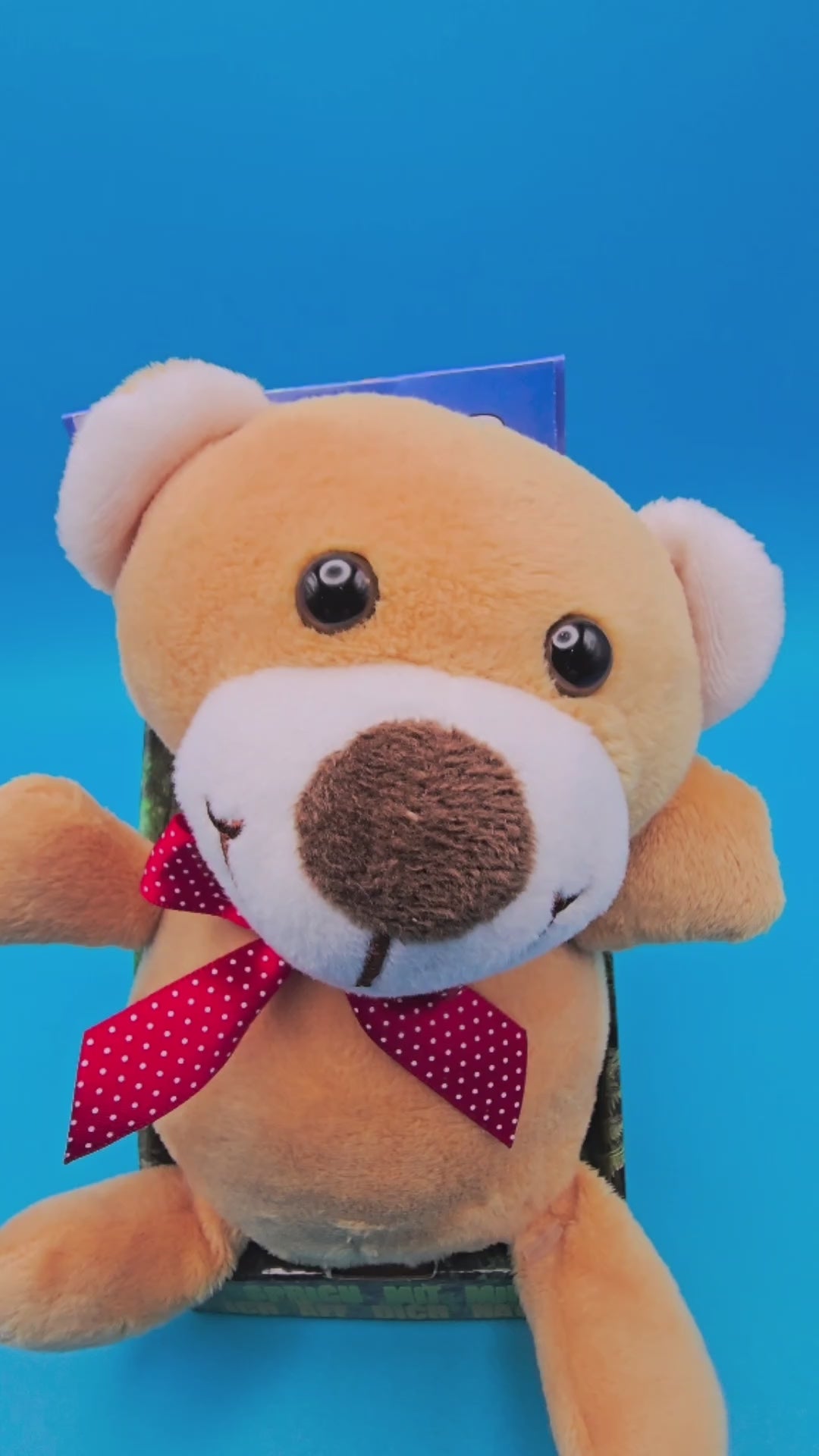Funny chattering bear ALEX, who repeats everything • incl. batteries • 12x12x16 cm • Chattering animals