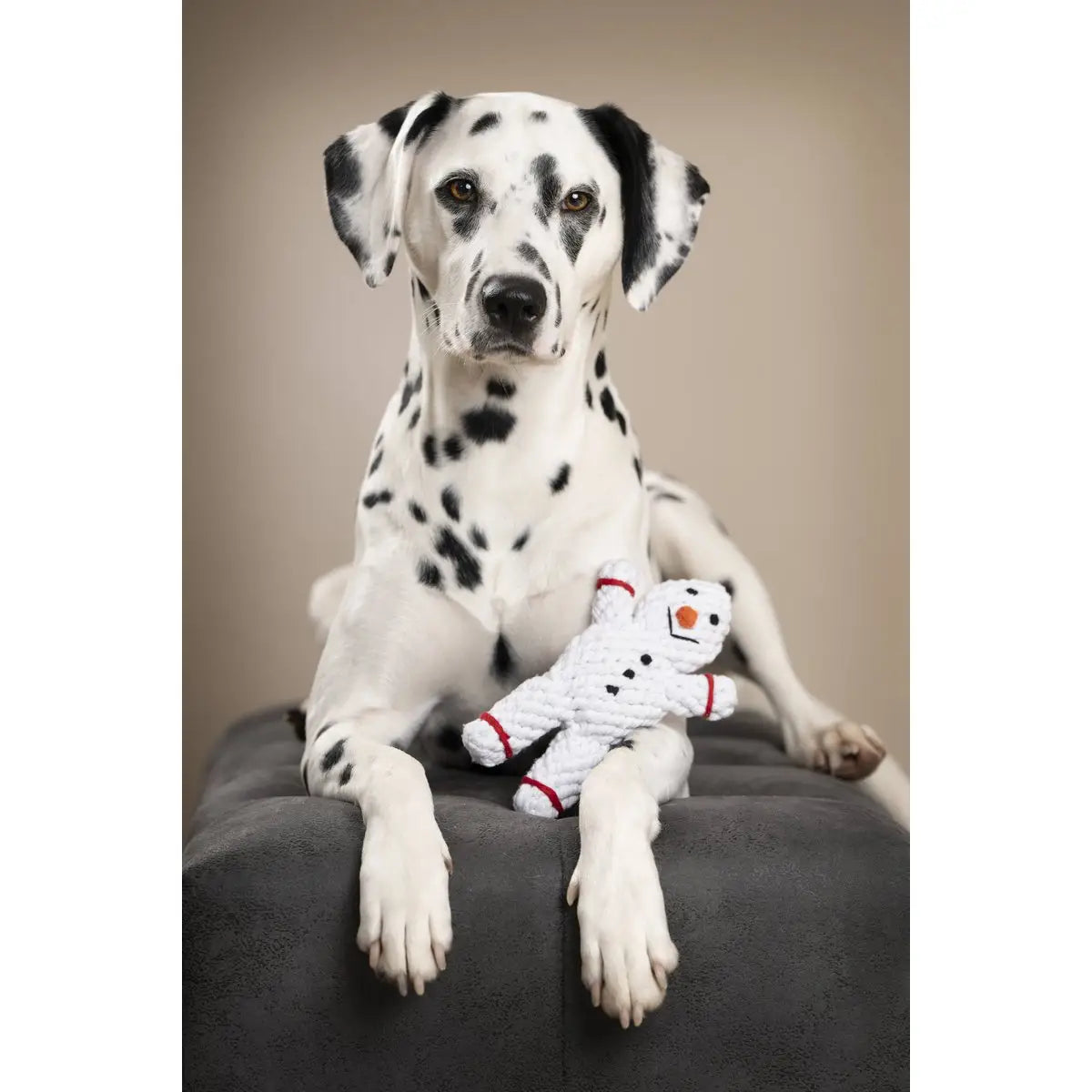Shawn der Schneemann - Kult-Spielzeug für Hunde